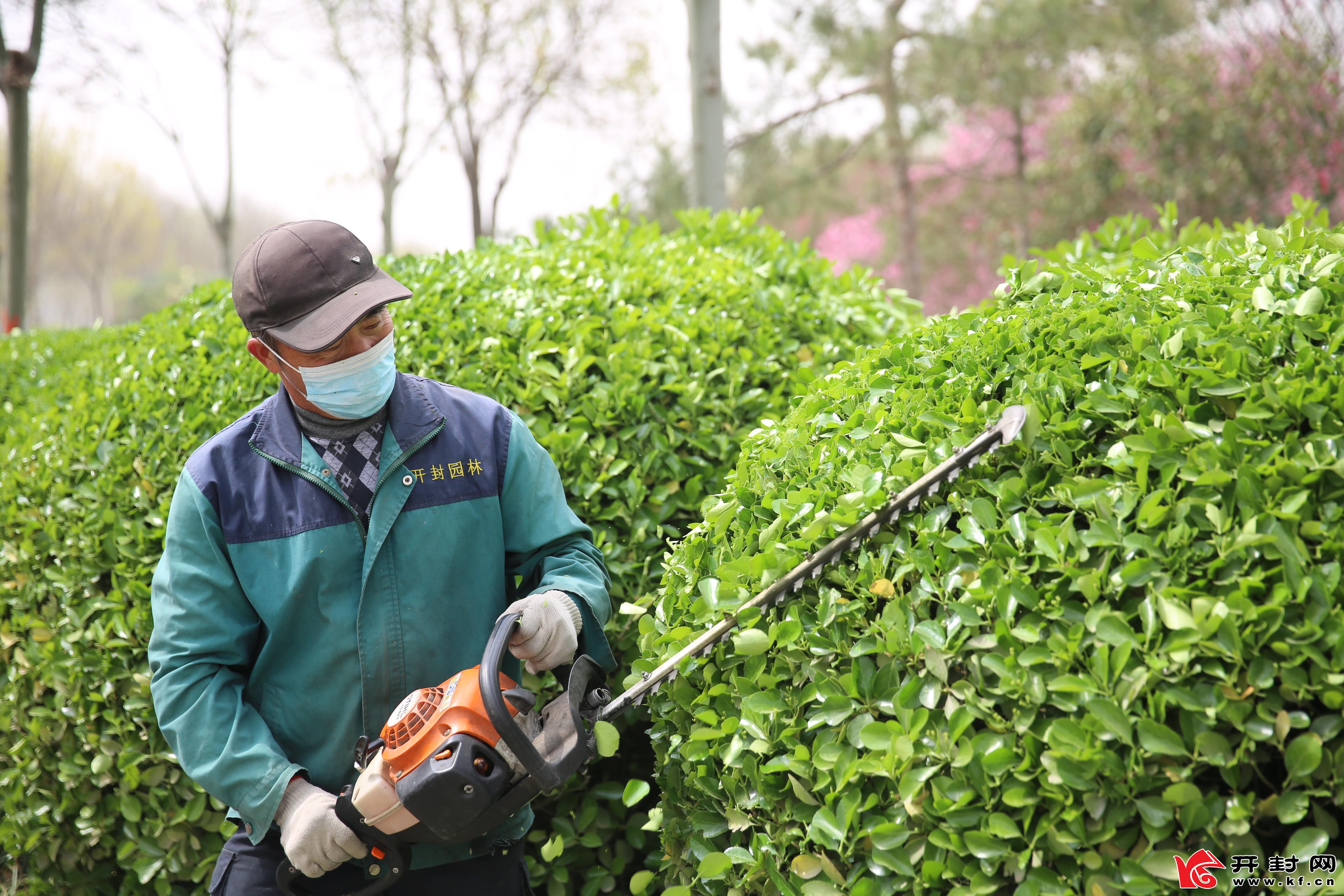 3月29日,绿化工人在滨河路公园内修剪绿植,提高公园"颜值,为市民提供