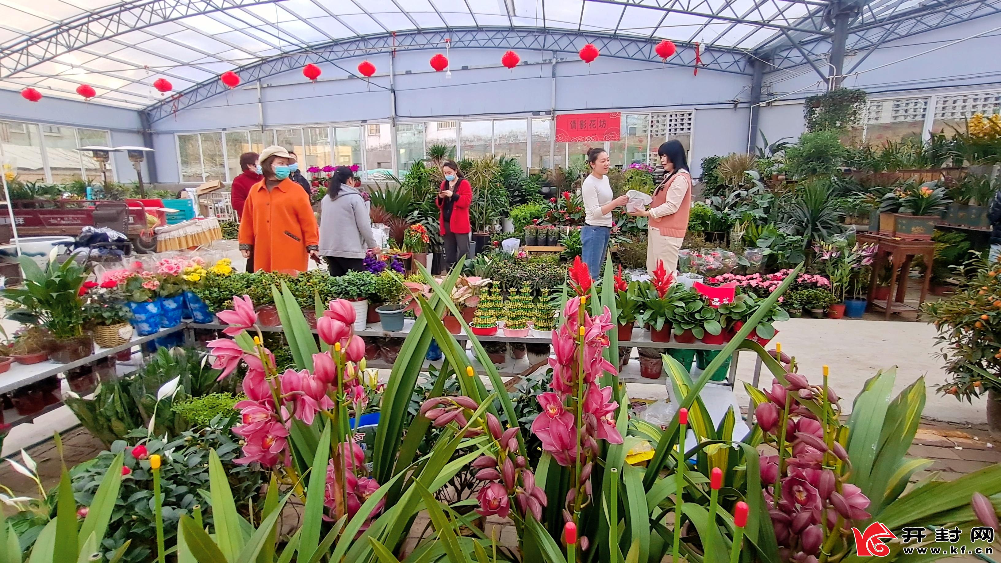 2月5日,开封一花卉市场内热闹非凡,市民购买鲜花盆栽迎接新春到来
