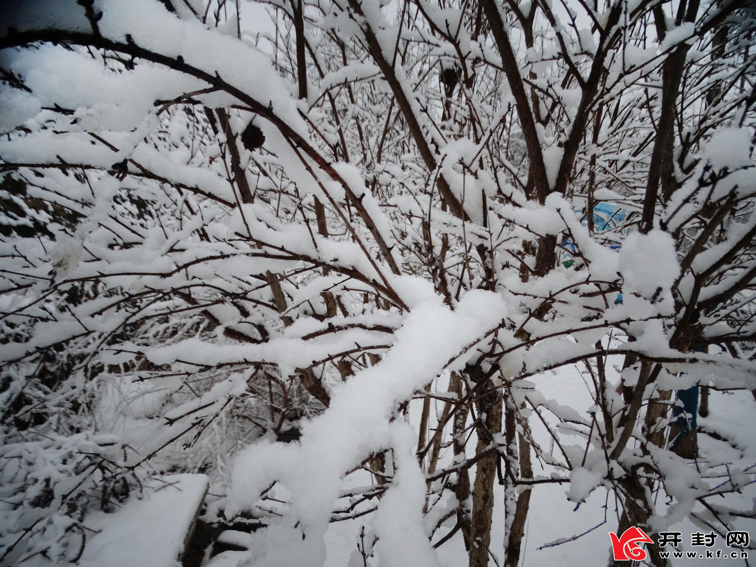 1月5日，一场雪后，古城银装素裹，分外妖娆。全媒体记者 李克君 摄