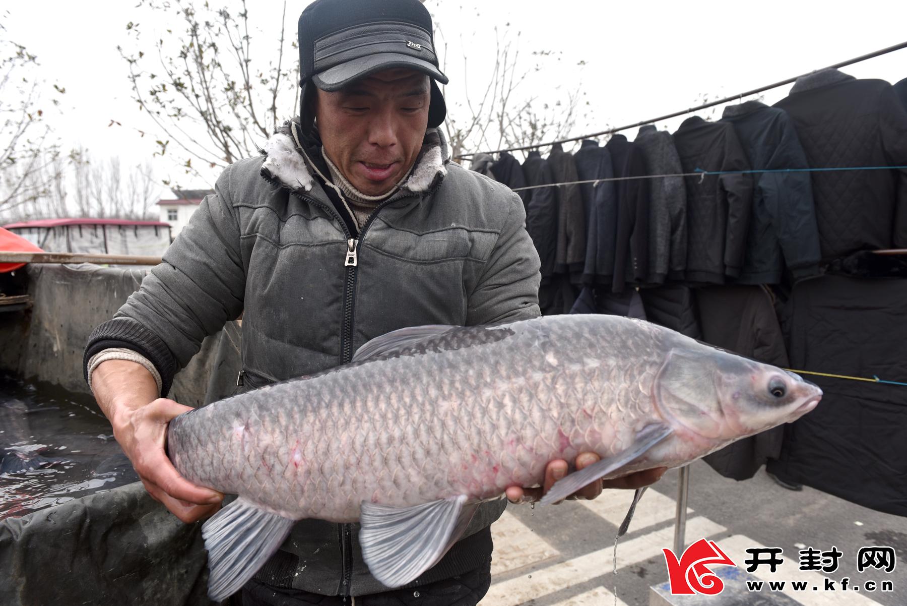 2月27日在水稻乡马头村，许多群众在欢欢喜喜地逛集市。春节将至，开封许多集市陆续热闹起来，群众也在自觉疫情防控的意识下购置年货。全媒体记者 赵文建 摄