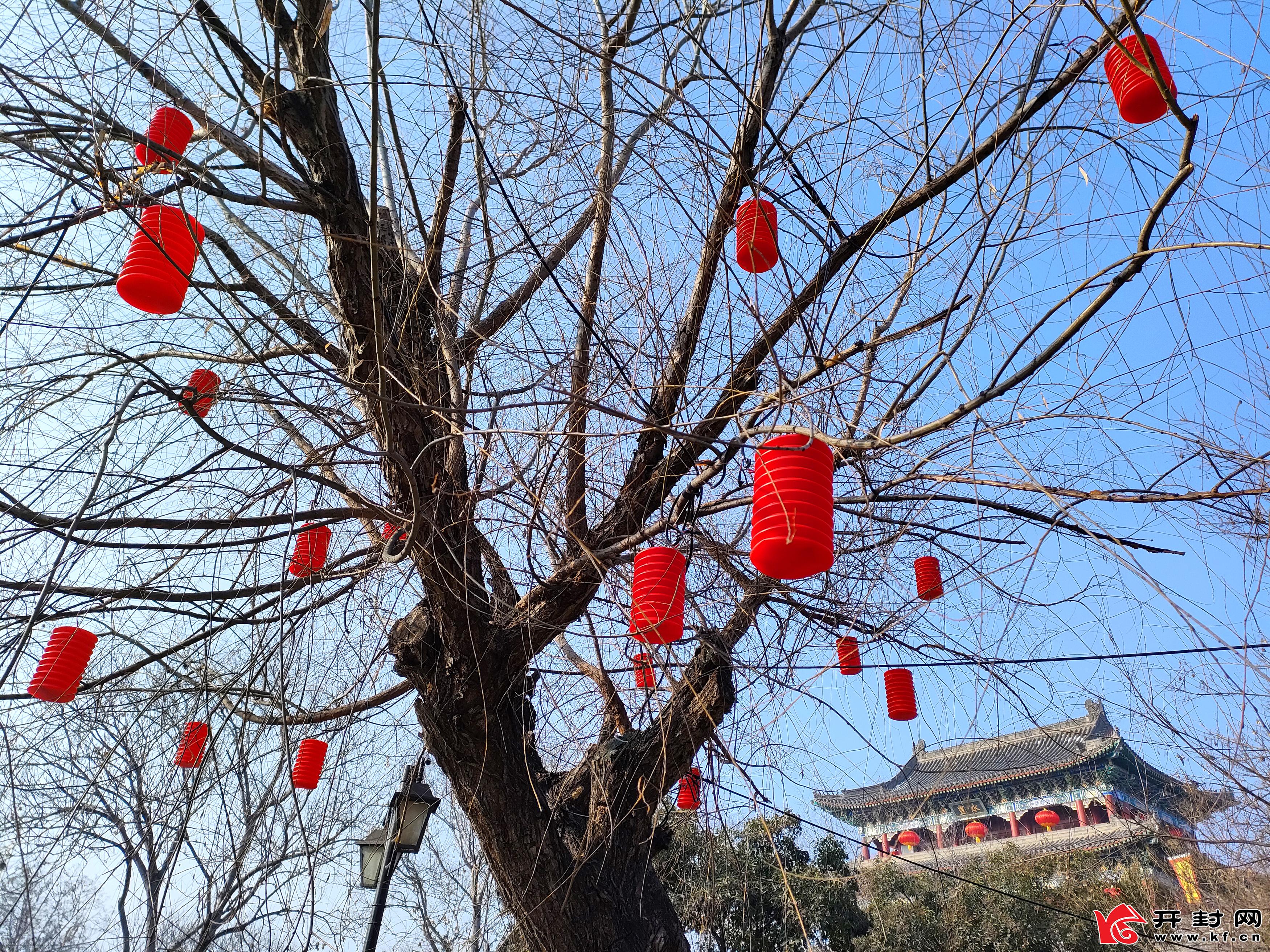 春节将至，开封公园景点张灯结彩，充满浓郁的节日喜庆气氛，迎接佳节的到来。全媒体记者李俊生 1月30日摄