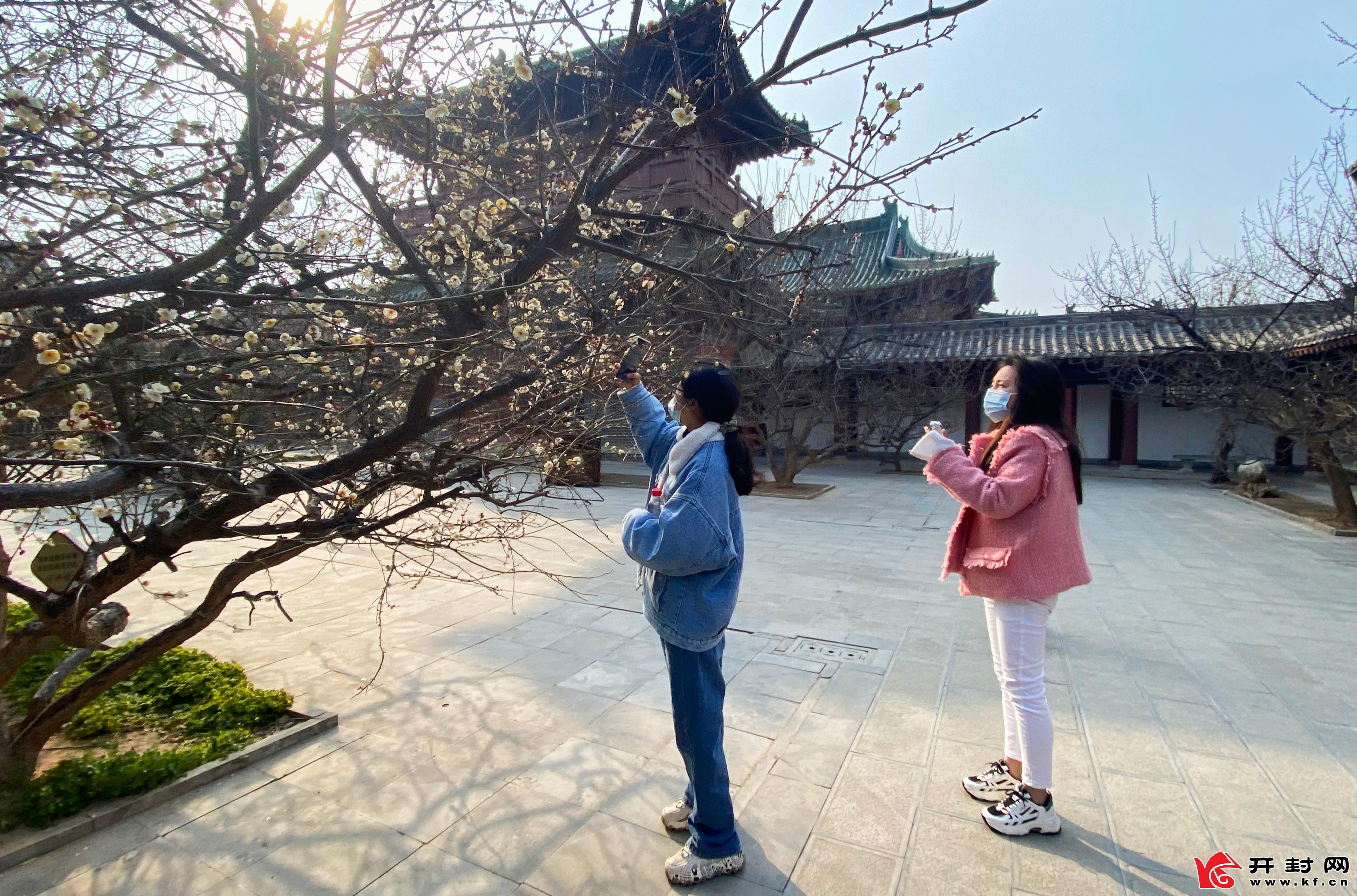 大宋中国年，景区出新彩。蓝天白云，春意盎然，游客在我市一家景区欣赏着春天的美景。全媒体记者袁洋2月9日摄