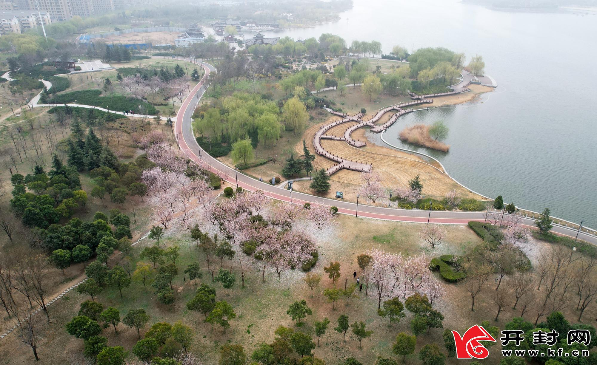 从空中俯瞰黑岗口调蓄水库，岸边绿树成荫，生机勃勃。全媒体记者 袁洋 3月15日摄