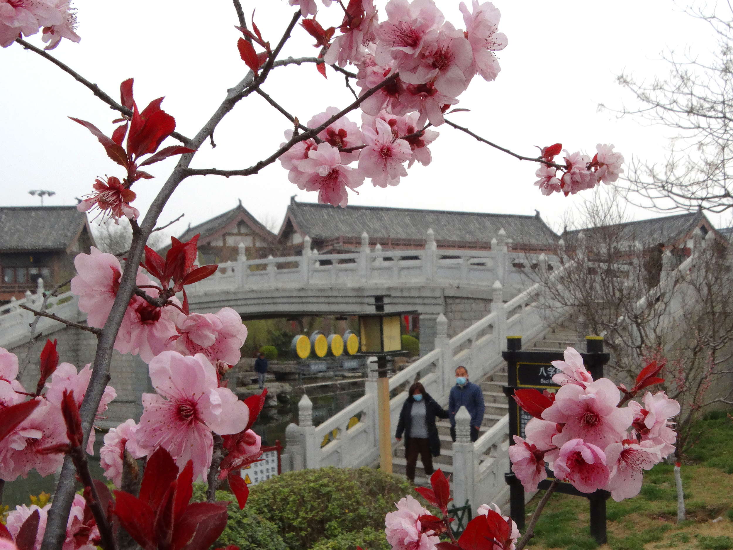 春天里，开封公园景点春暖花开、春和景明，分外美丽迷人。全媒体记者 李俊生  3月20日摄