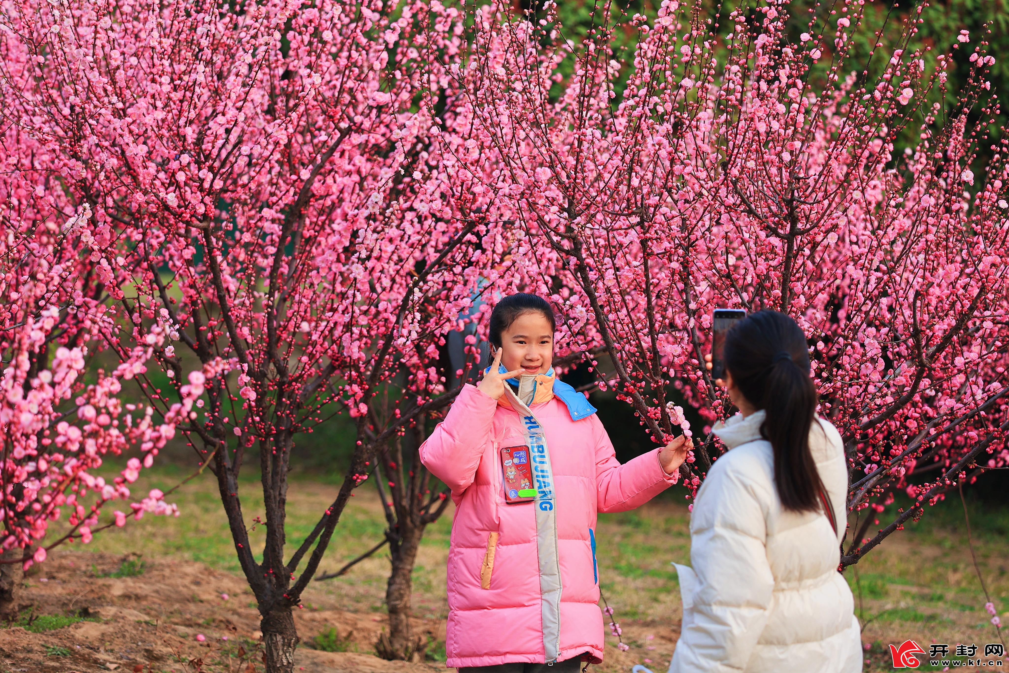 3月21日，市民在游园广场散步赏花。“春分”节气过后，春天的脚步势不可挡，游园广场春的气息更加浓郁。全媒体见习记者 李浩 摄