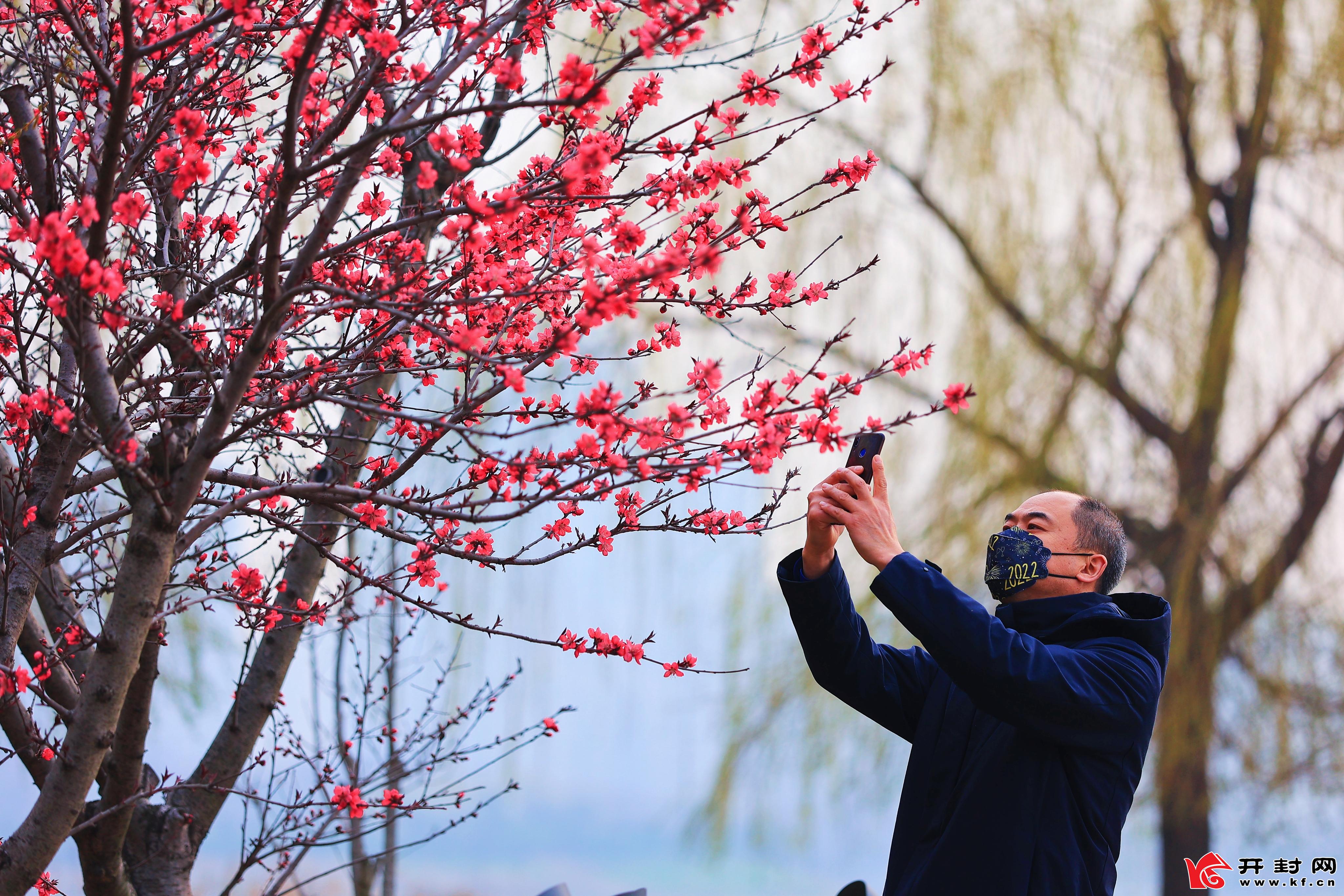 3月21日，市民在游园广场散步赏花。“春分”节气过后，春天的脚步势不可挡，游园广场春的气息更加浓郁。全媒体见习记者 李浩 摄