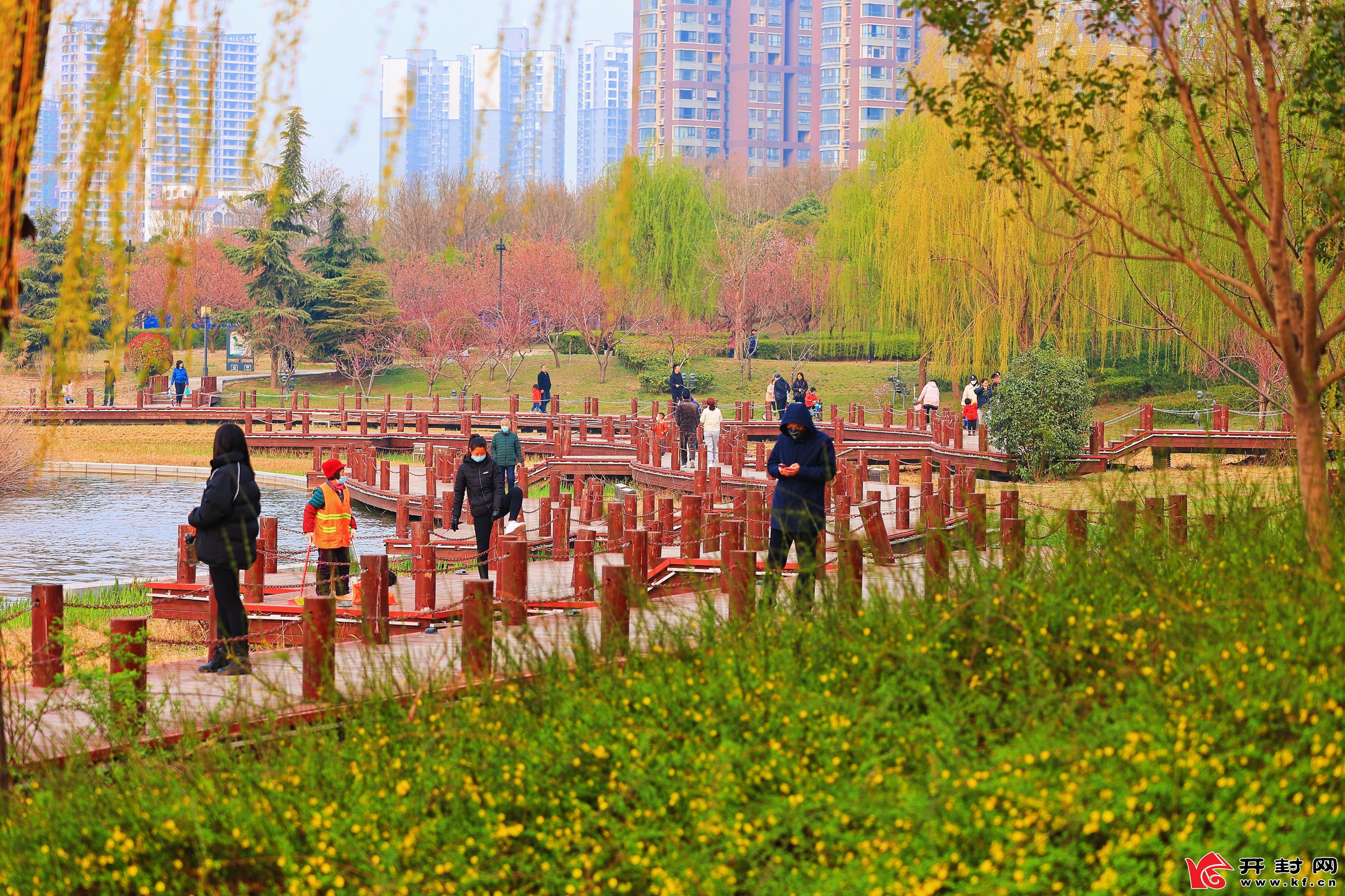 3月21日，市民在游园广场散步赏花。“春分”节气过后，春天的脚步势不可挡，游园广场春的气息更加浓郁。全媒体见习记者 李浩 摄