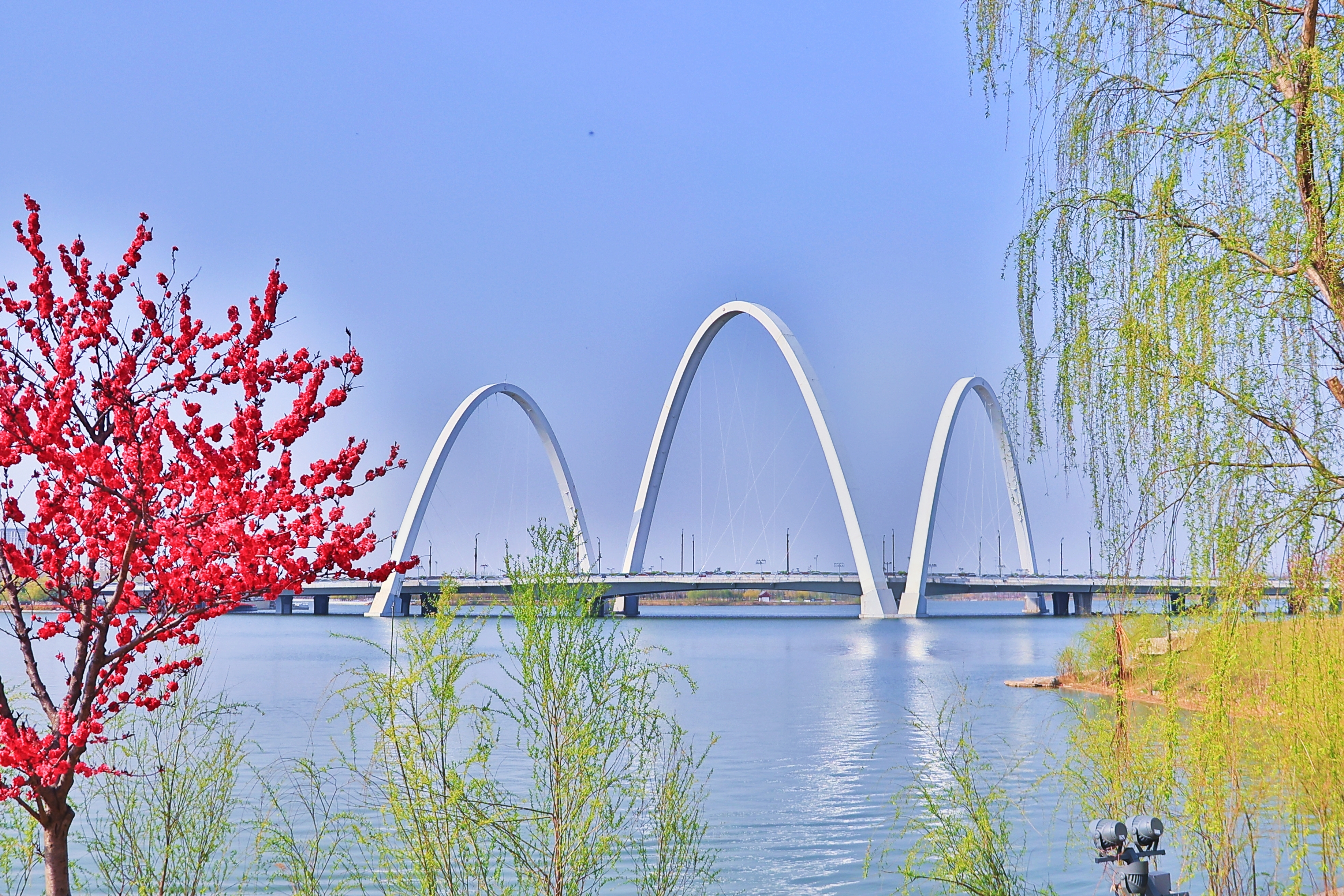 3月28日，我市天朗气清，在蓝天的映衬下，黑岗口调蓄水库景色更加亮丽。全媒体见习记者 李浩 摄