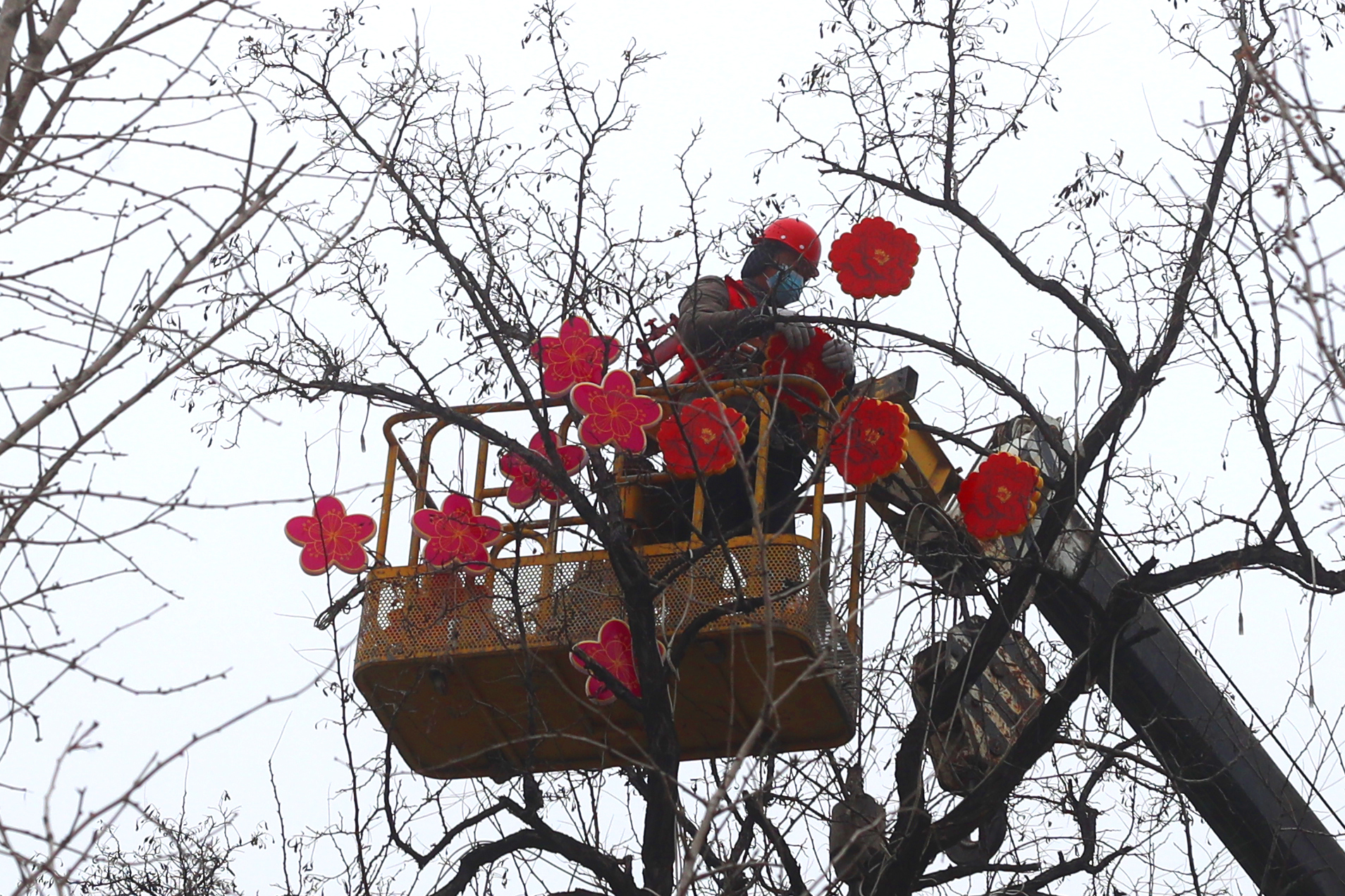 春节临近，1月16日，我市街头、景区张灯结彩，节日氛围浓厚。 全媒体记者 李克君 摄