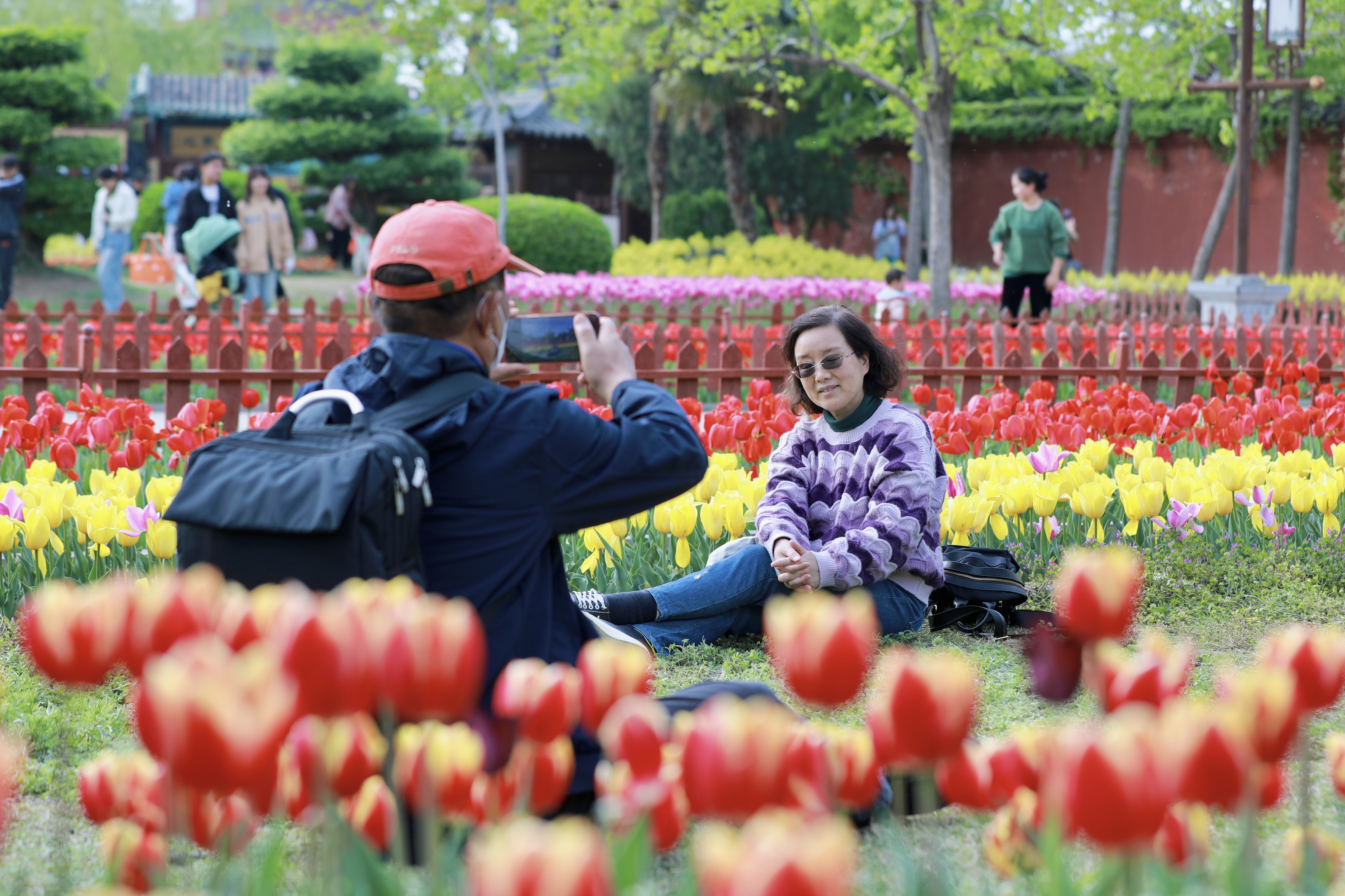清明时节草长莺飞，4月5日，众多市民、游客前往开封景区游玩，感受美如画卷的古城春天。全媒体记者 姜菡 摄 