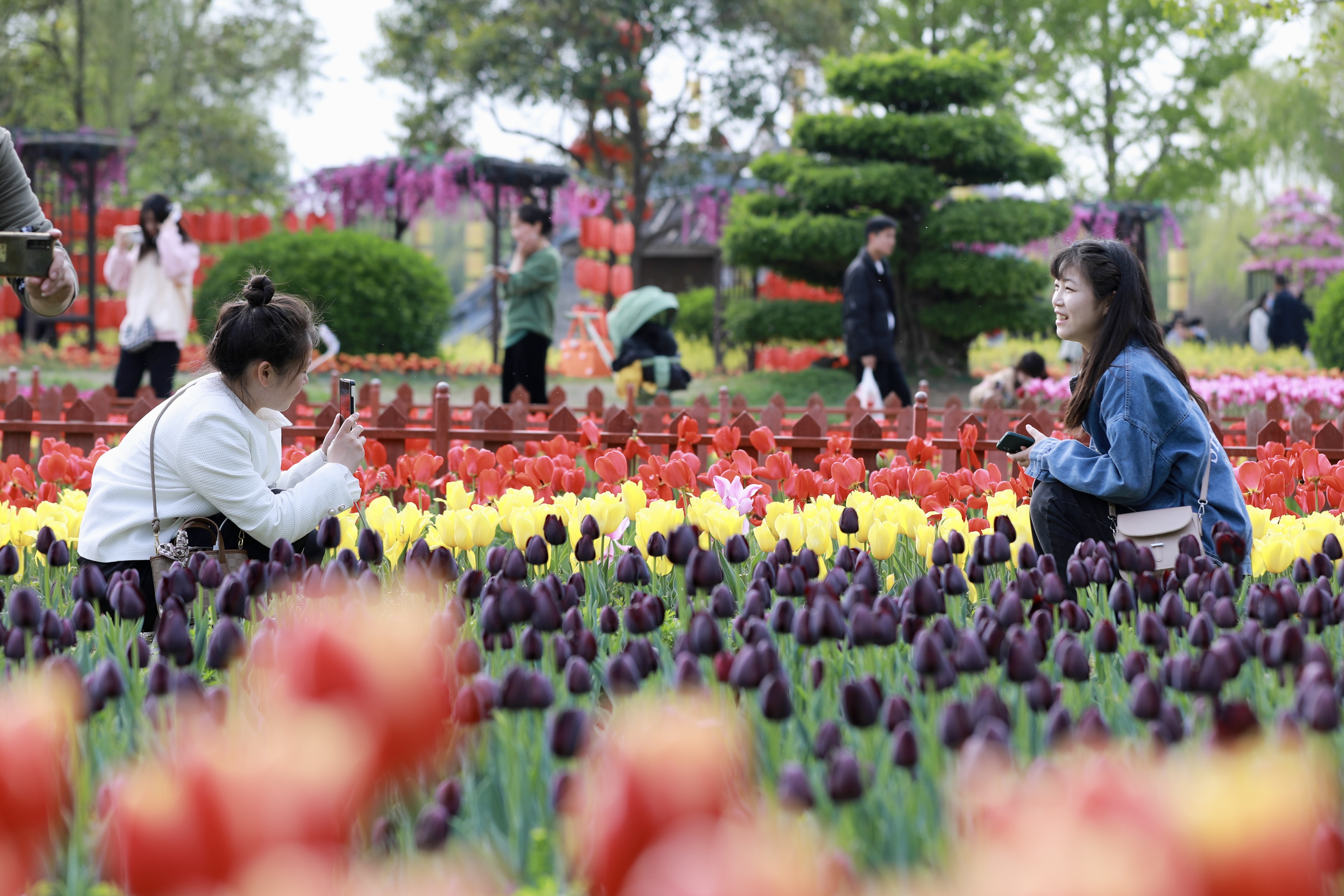 清明时节草长莺飞，4月5日，众多市民、游客前往开封景区游玩，感受美如画卷的古城春天。全媒体记者 姜菡 摄 
