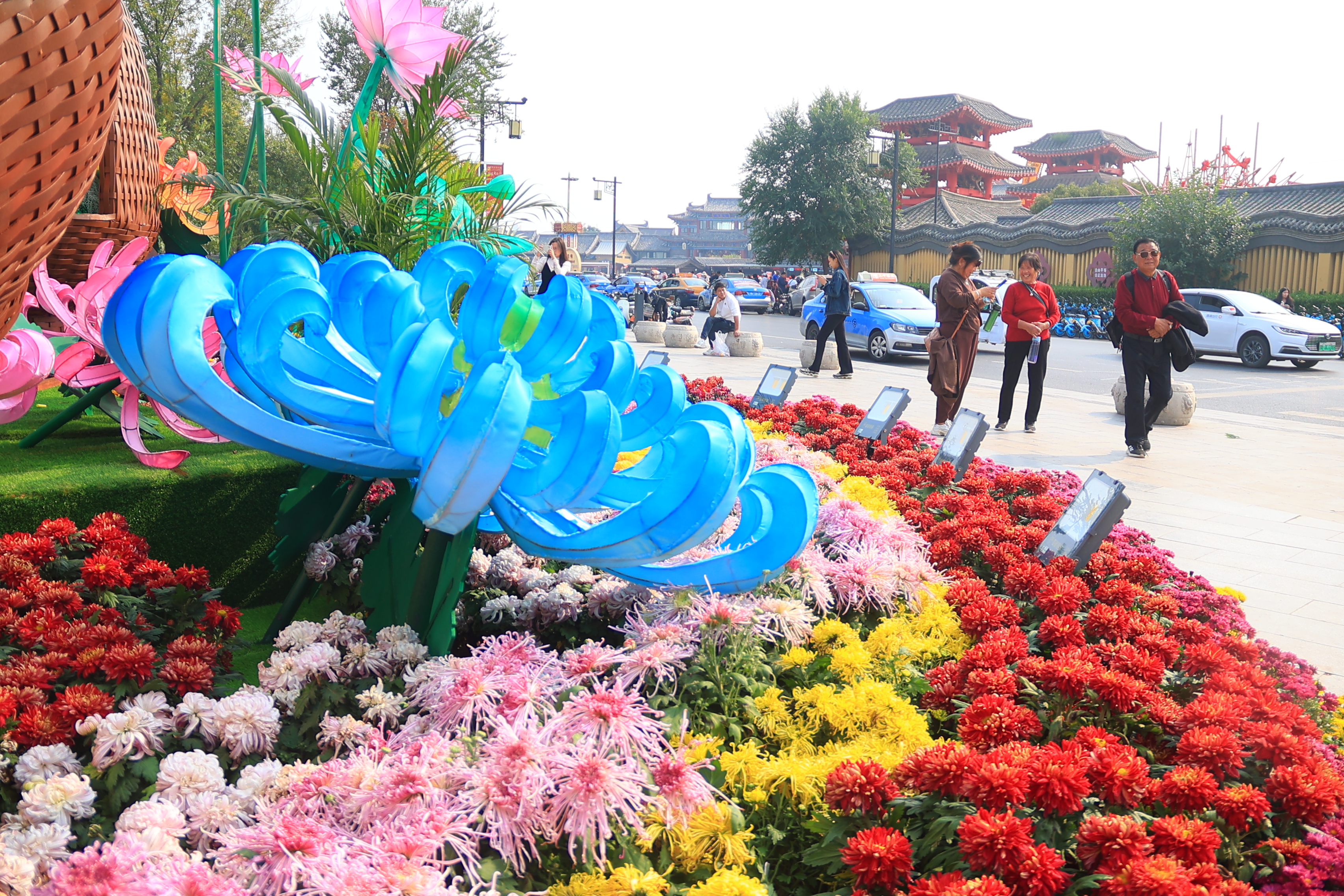 10月13日，在中国翰园碑林景区，游客畅游在菊花“花海”中，欣赏古城美景。开封+记者李浩 摄