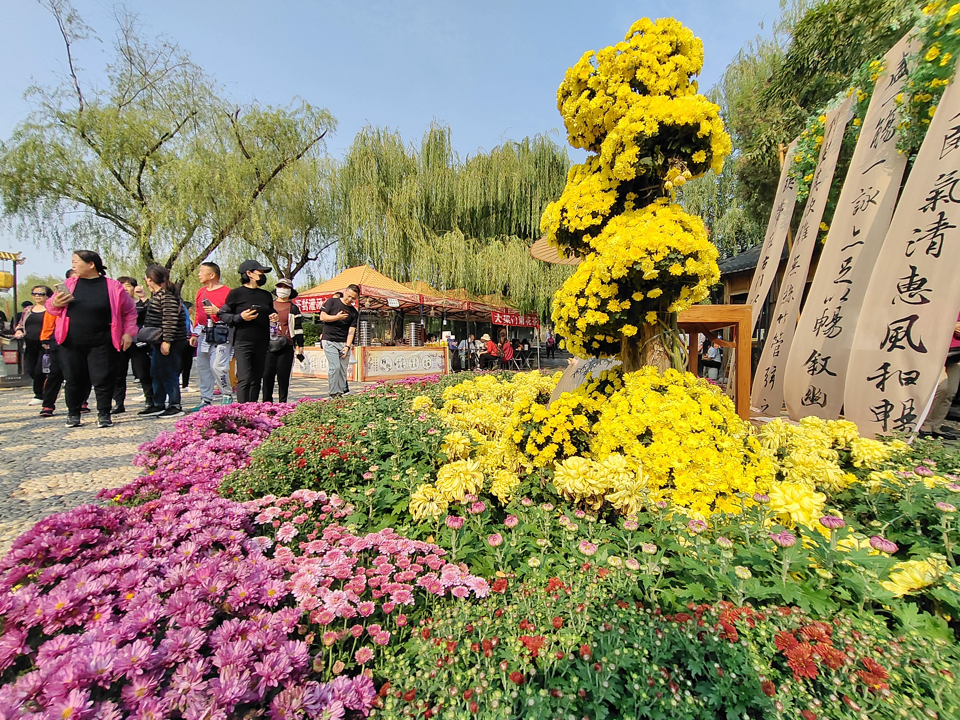 10月13日，在中国翰园碑林景区，游客畅游在菊花“花海”中，欣赏古城美景。开封+记者李浩 摄