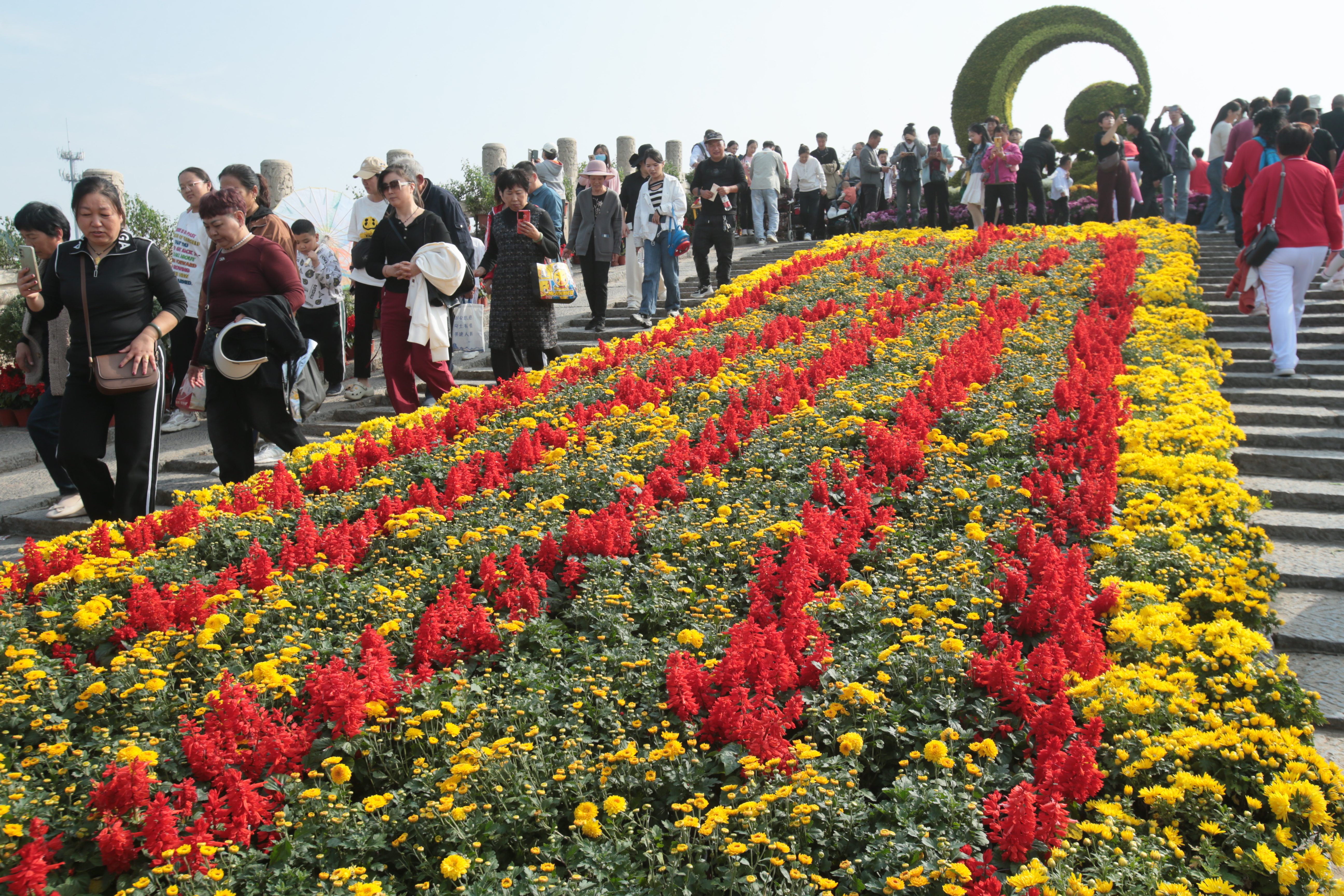 10月21日，游客在龙亭公园赏菊。中国开封第41届菊花文化节开幕以来，我市公园景点内人头攒动、菊香四溢，来自四面八方的游客络绎不绝。开封+记者 吕树建 摄