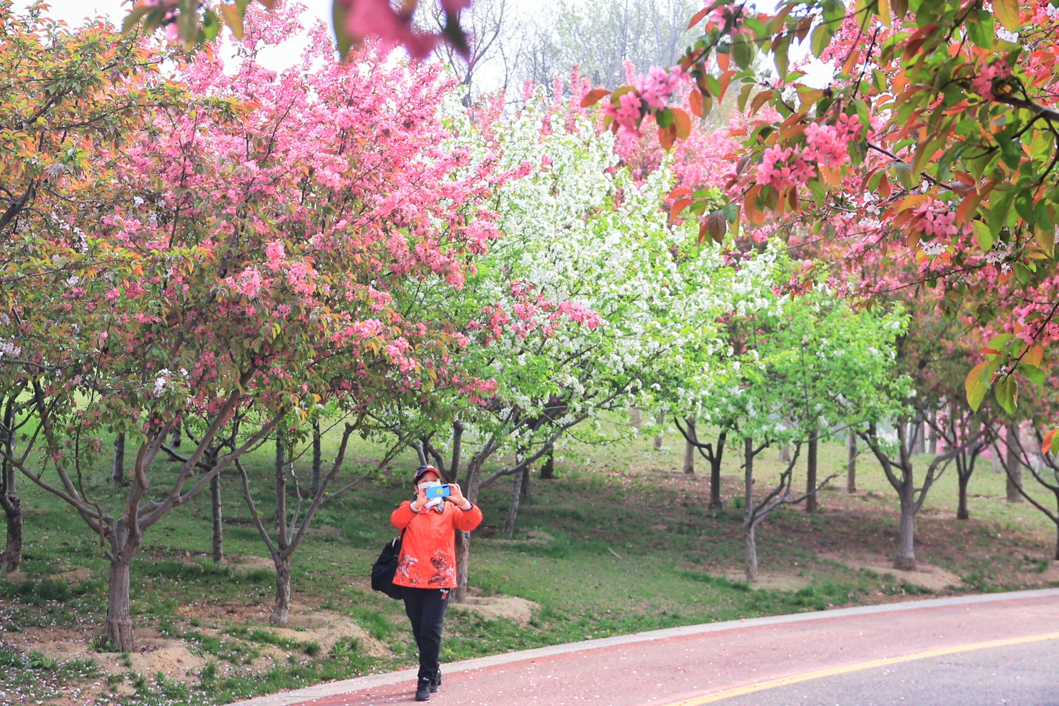 4月1日，市民在户外踏青赏景，感受四月的春天。全媒体记者 李浩 摄