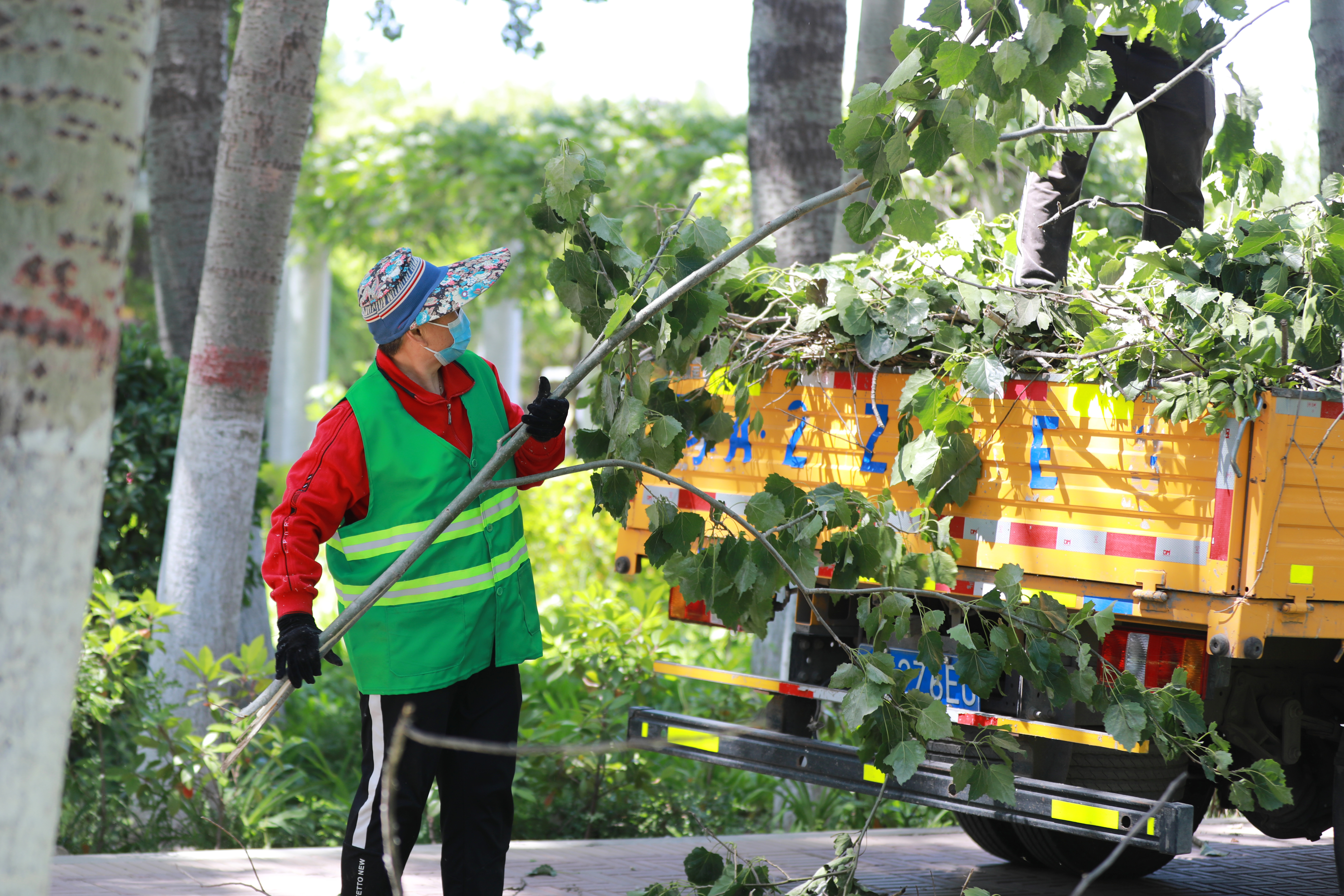 一场大风后，我市不少树枝断裂影响出行。5月15日，园林绿化工人在夷山大街清理树枝、落叶，保持路面干净整洁，给市民提供一个安全、优美的出行环境。全媒体记者 姜菡摄