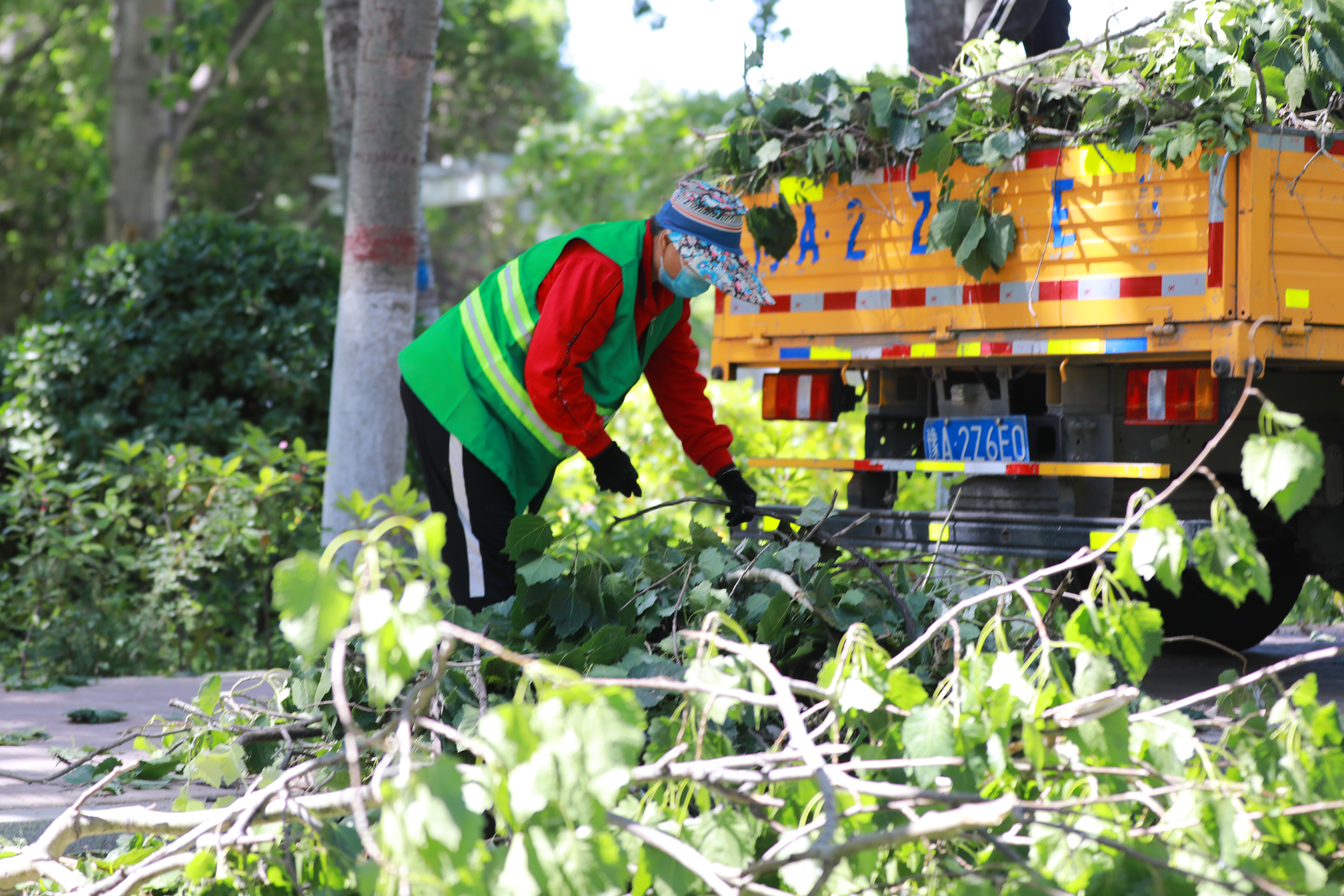 一场大风后，我市不少树枝断裂影响出行。5月15日，园林绿化工人在夷山大街清理树枝、落叶，保持路面干净整洁，给市民提供一个安全、优美的出行环境。全媒体记者 姜菡摄