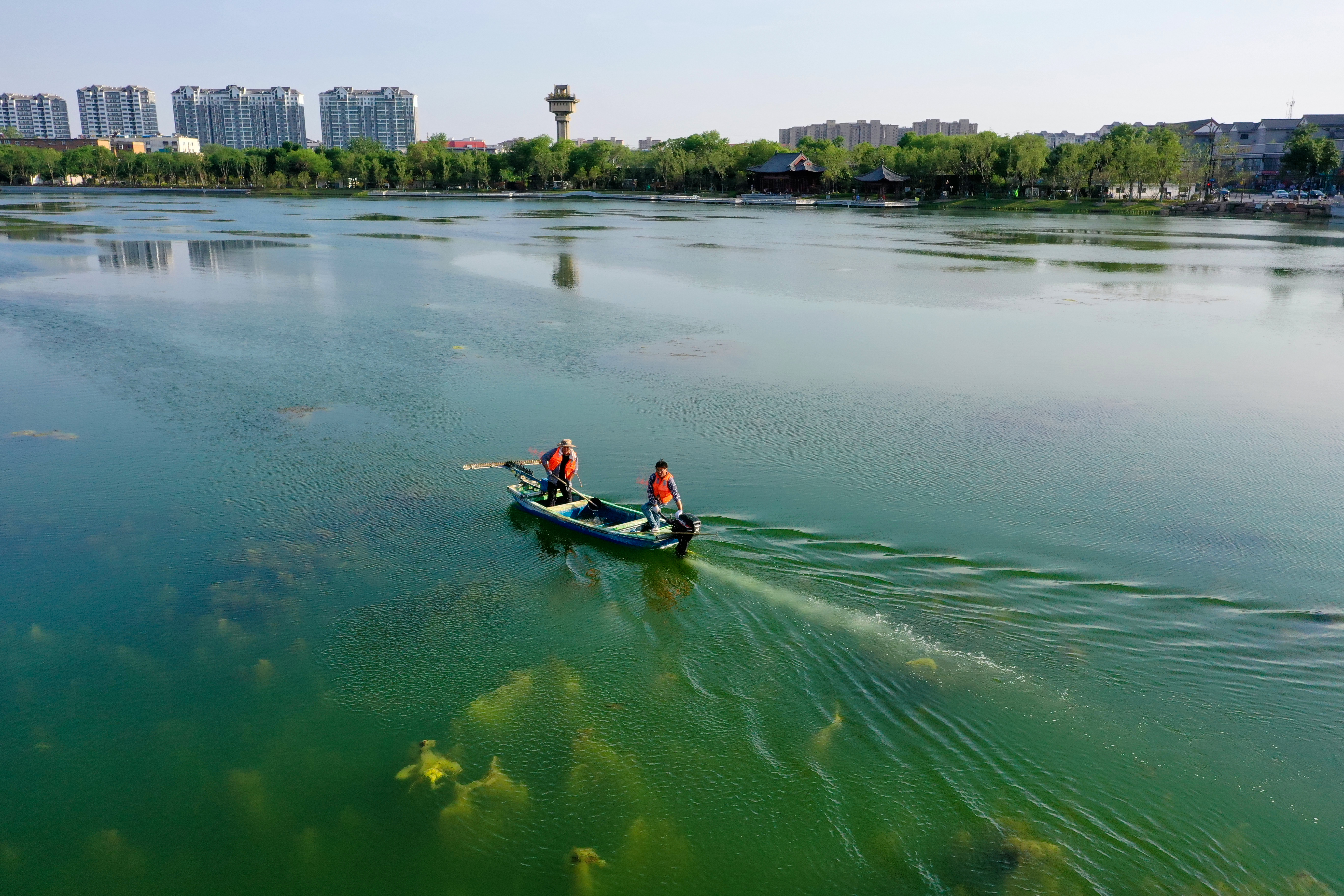 5月28日，打捞工人在包公湖打捞水草，打造水清、河畅、岸绿、景美的生态环境。全媒体记者 石斐 摄