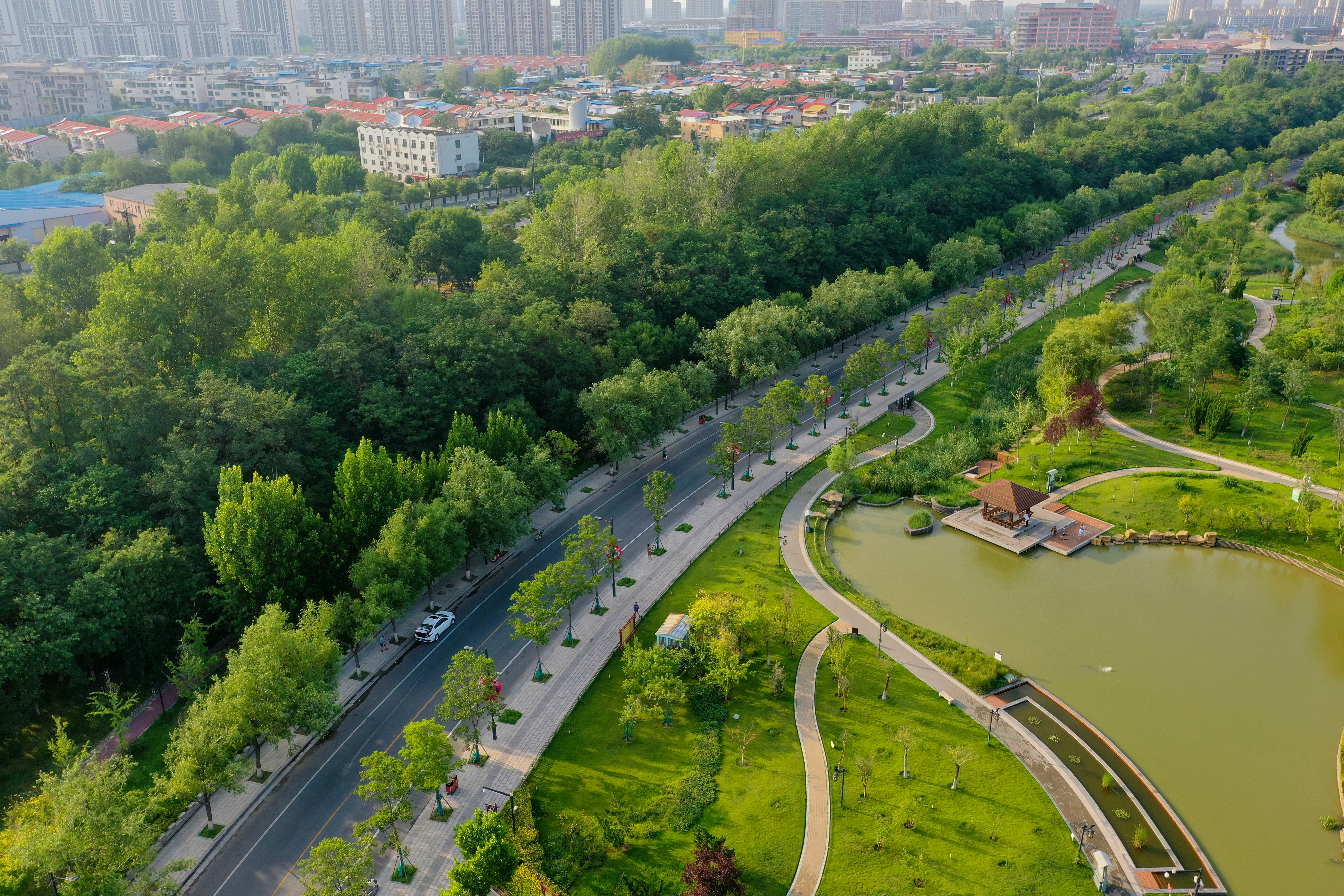 7月18日，经过雨水的洗礼，草木愈发葱茏，再加上蓝天白云的映衬，古城仿佛开了滤镜，处处皆风景。全媒体记者 石斐 摄