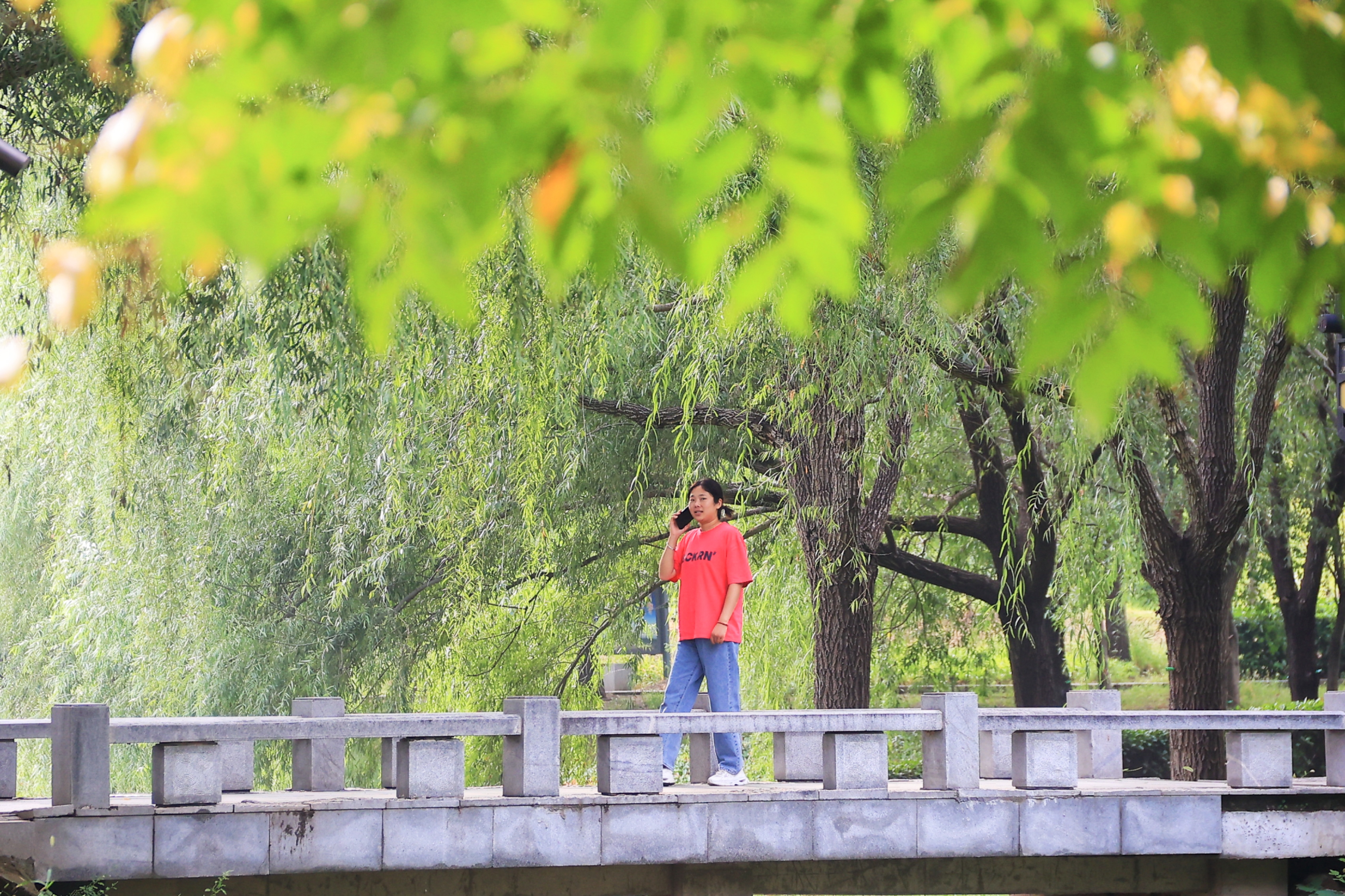 9月19日下午，我市告别阴雨，天空放晴，气温湿度适宜，吸引不少市民到公园休闲。全媒体记者 李浩 摄