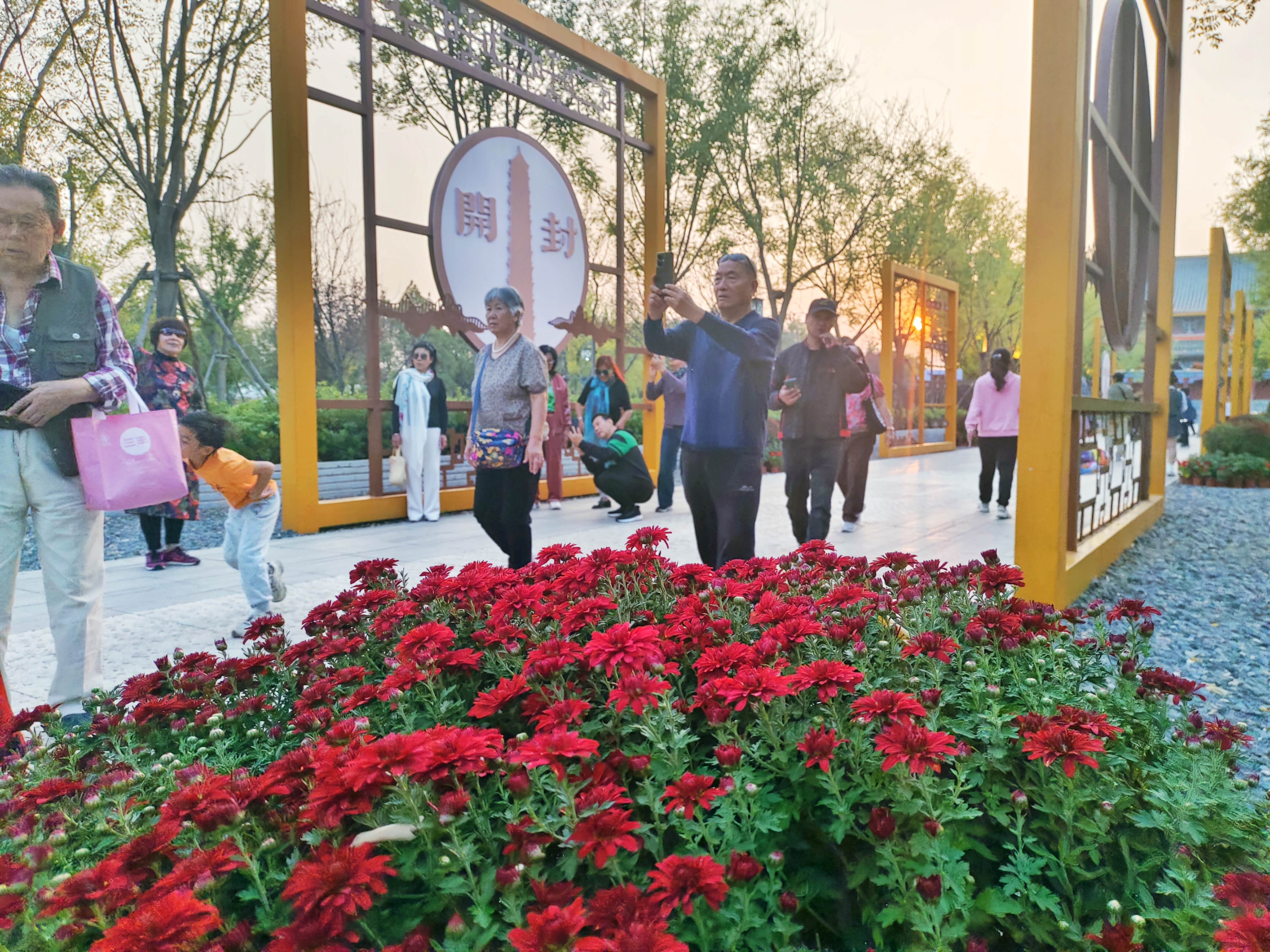 近日，铁塔公园里的菊花盛开，美丽的菊花景观吸引游客驻足观赏、拍照留念。全媒体记者 李浩 摄