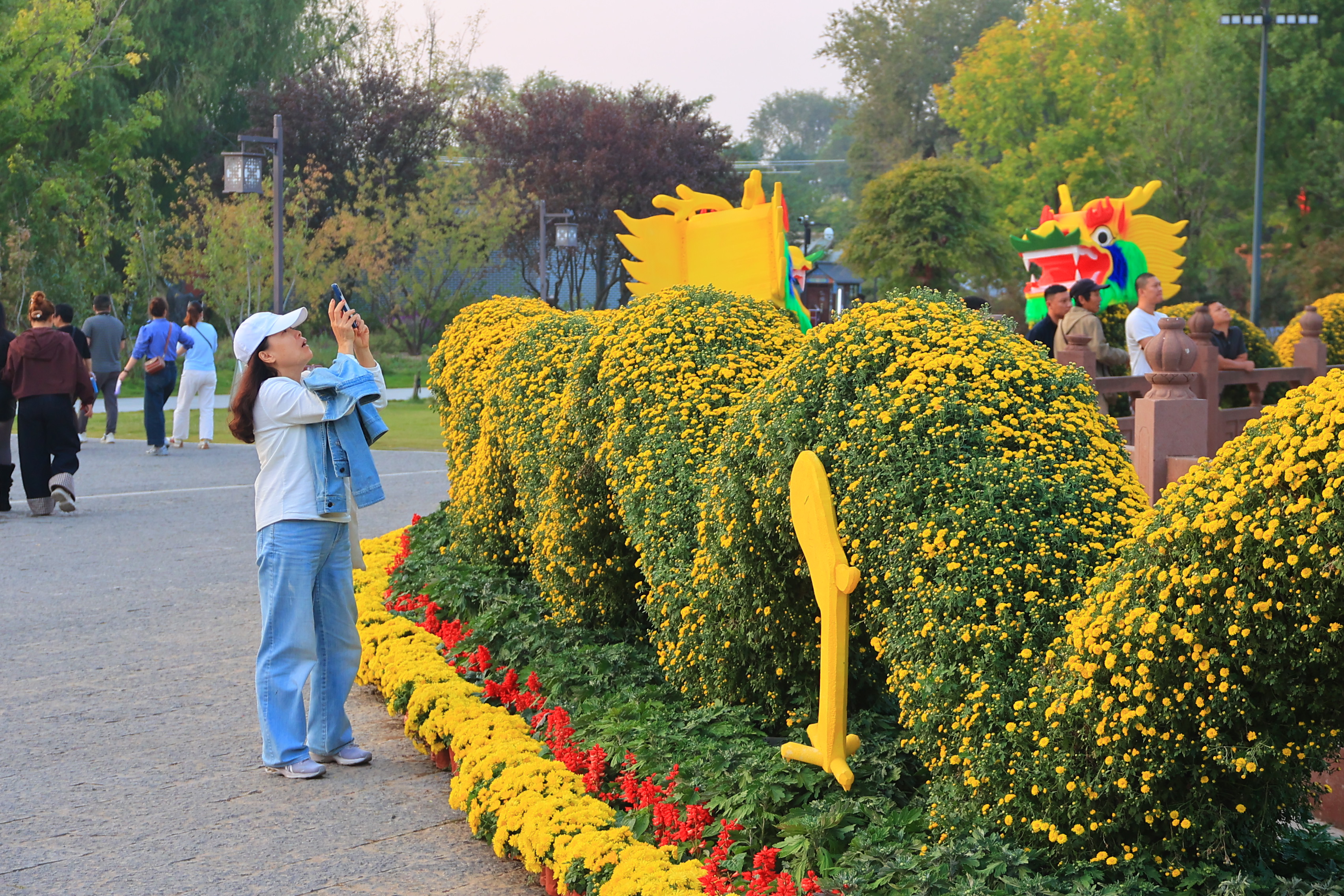 近日，铁塔公园里的菊花盛开，美丽的菊花景观吸引游客驻足观赏、拍照留念。全媒体记者 李浩 摄