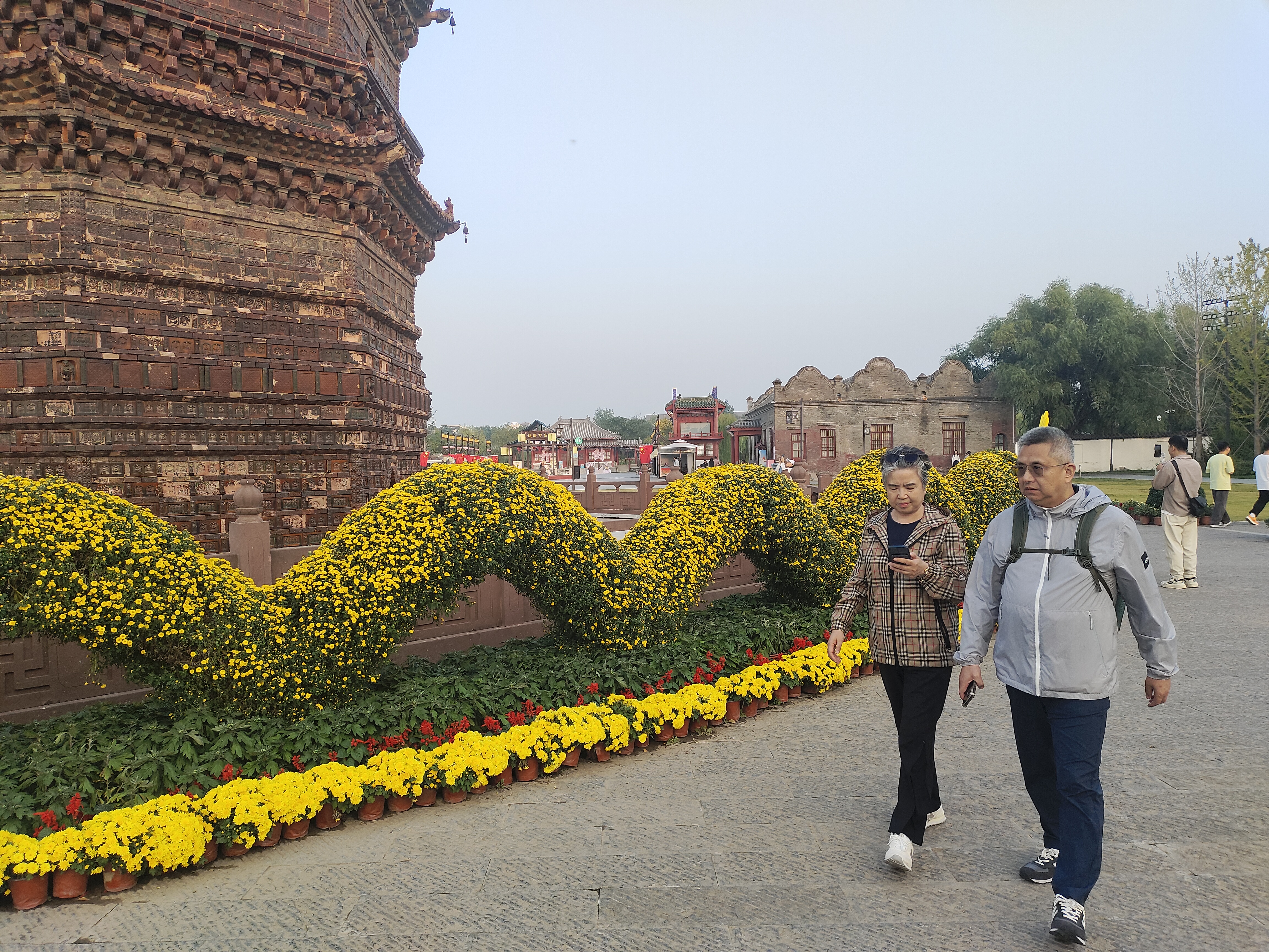 近日，铁塔公园里的菊花盛开，美丽的菊花景观吸引游客驻足观赏、拍照留念。全媒体记者 李浩 摄