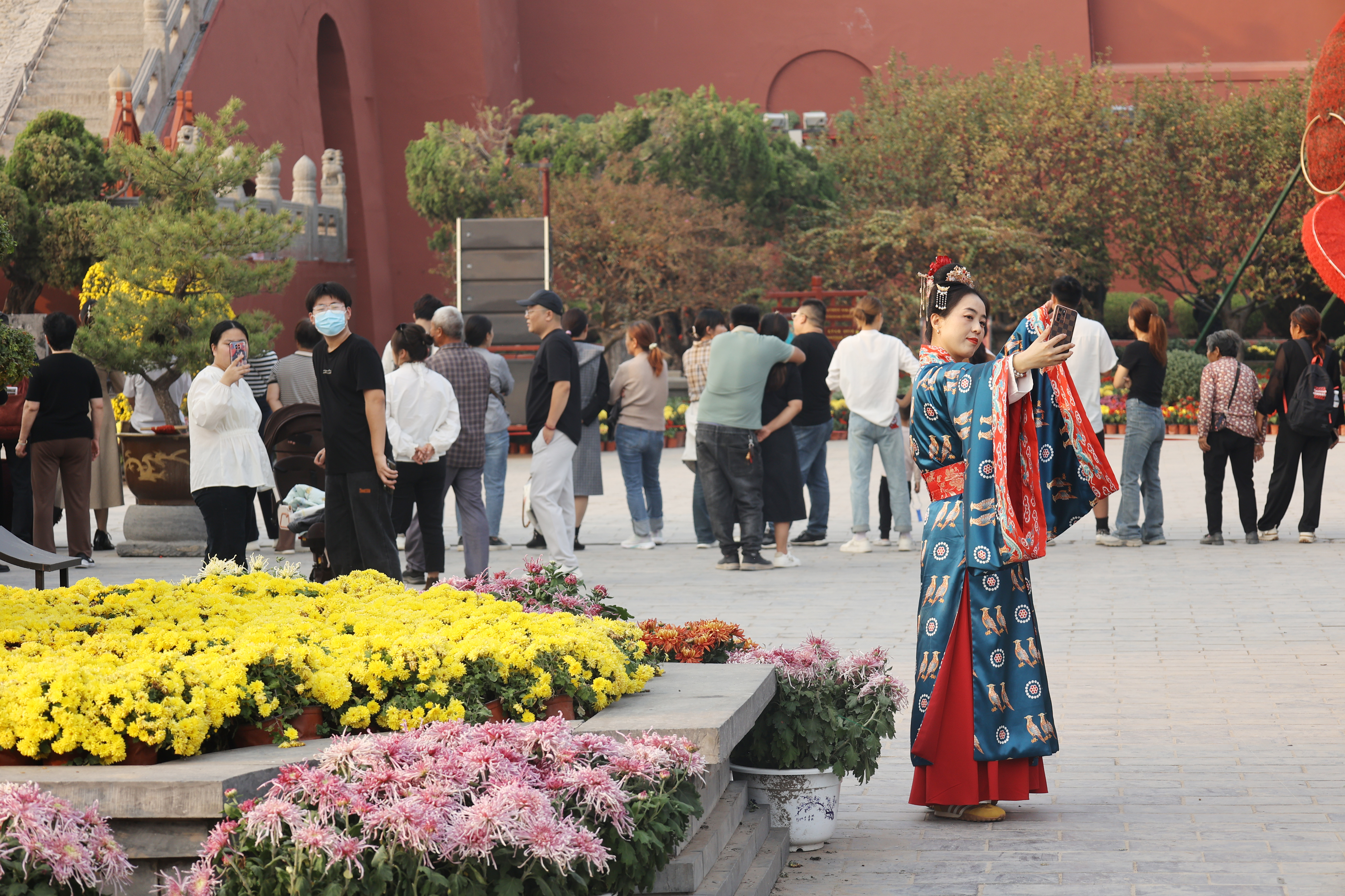 中国开封第42届菊花文化节开幕在即，我市满城菊花盛开、花香四溢，迎接四海宾朋。 图为龙亭公园布展现场。    全媒体记者袁洋10月14日摄