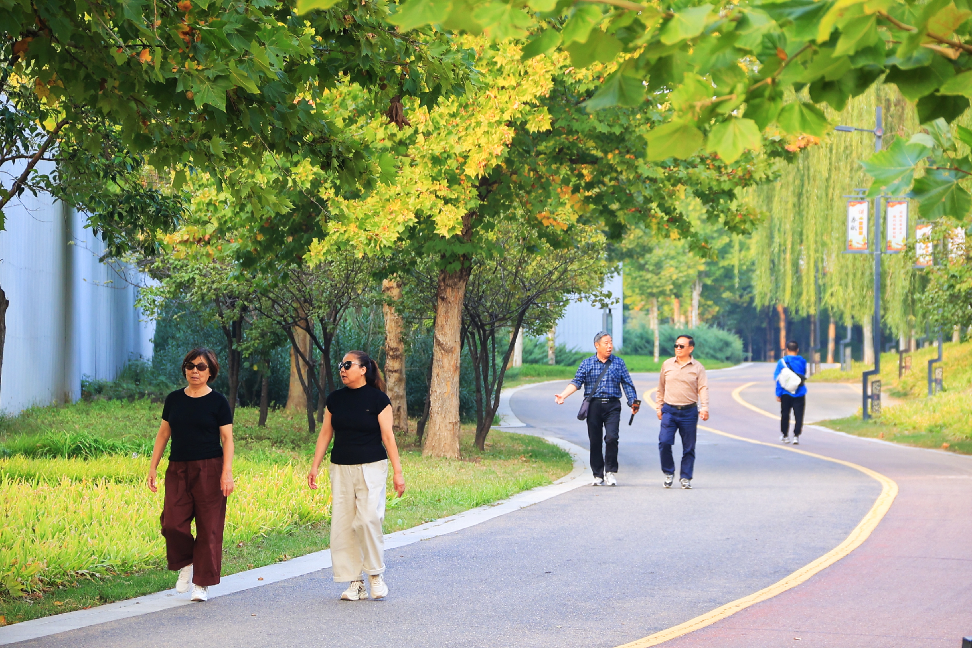 10月14日，天气晴好，秋意正浓，正是秋景最美的时候，市民来到户外欣赏景色。全媒体记者 李浩 摄