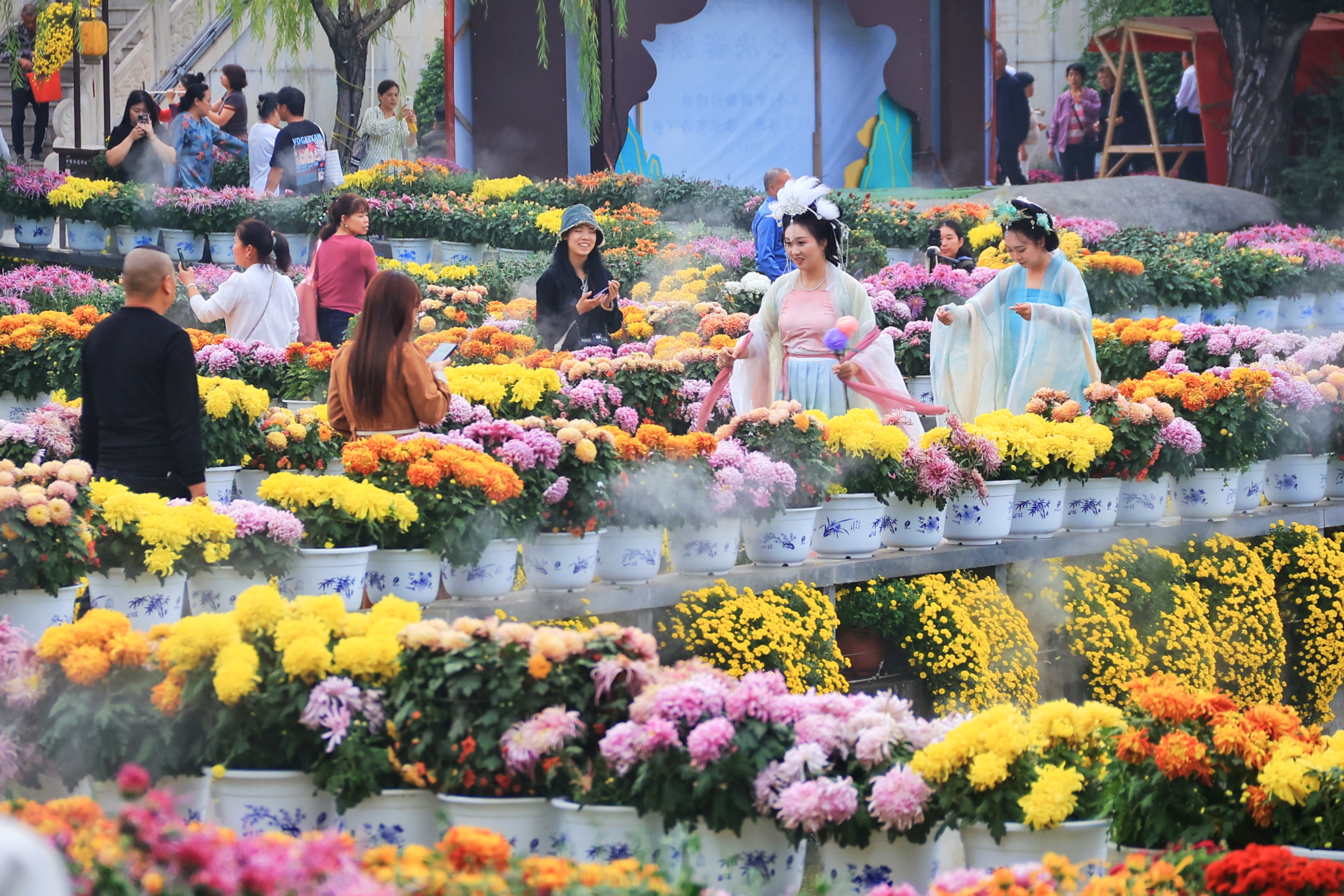 10月16日，众多游客在中国翰园碑林景区欣赏菊花，感受开封菊韵。全媒体记者 李浩 摄