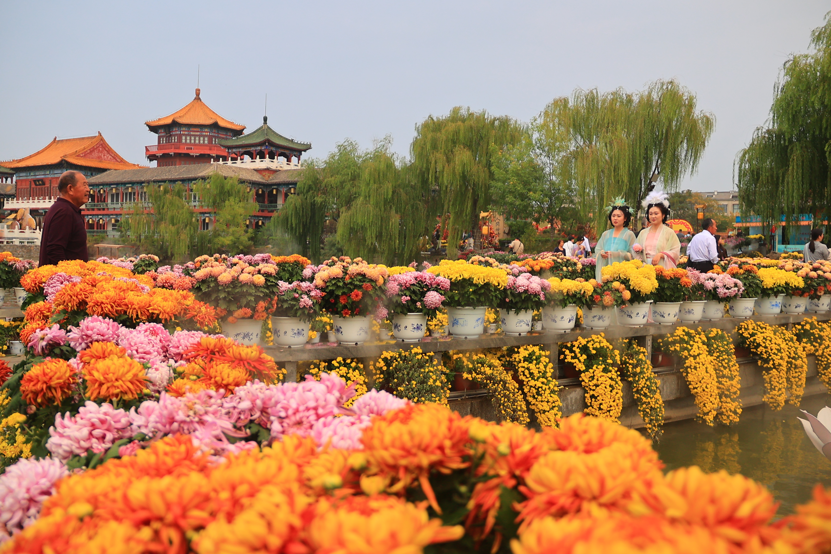 10月16日，众多游客在中国翰园碑林景区欣赏菊花，感受开封菊韵。全媒体记者 李浩 摄