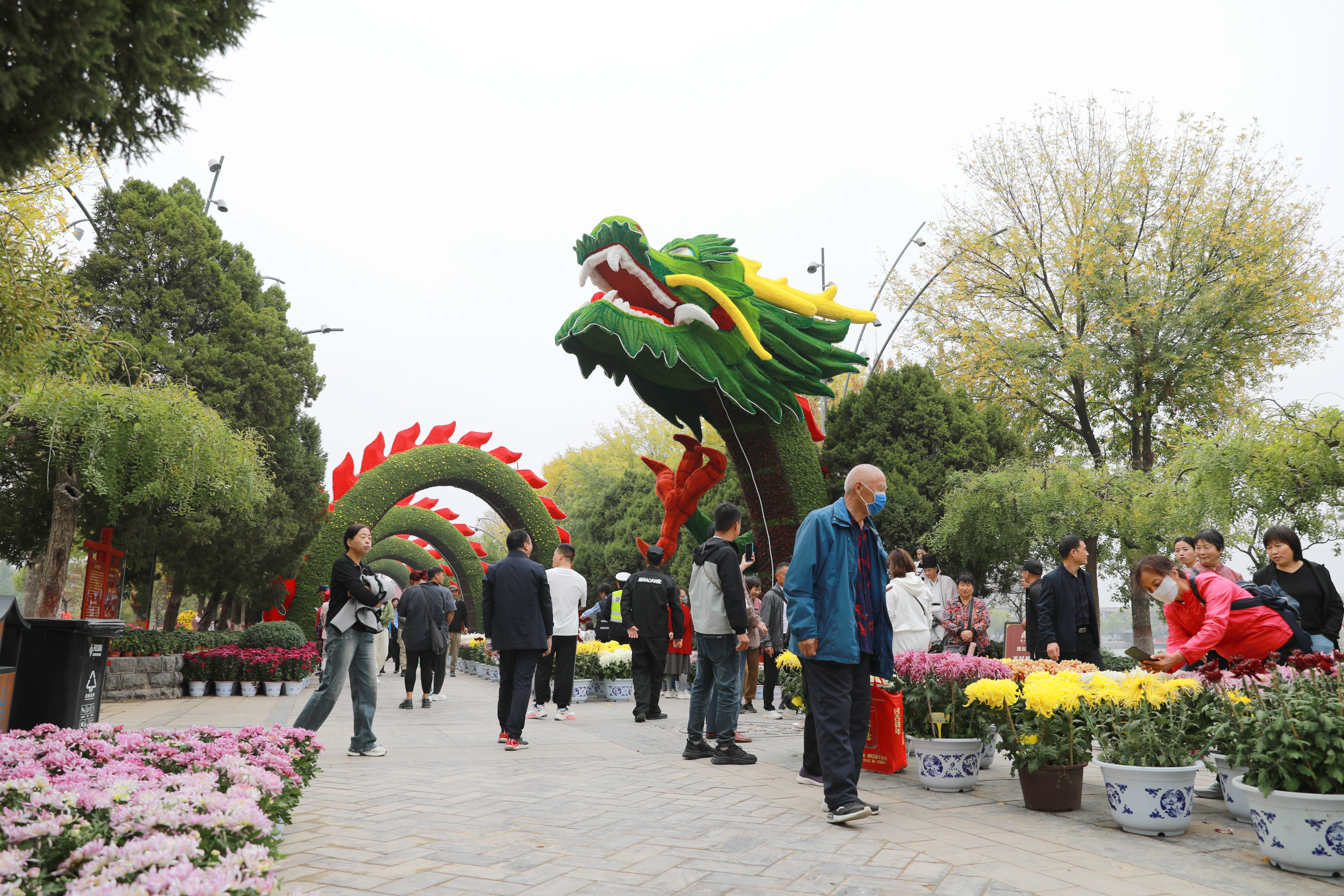 10月17日，开封景区内菊花品种琳琅满目，姿态万千，前来赏菊的游客络绎不绝，欢声笑语回荡其中。全媒体记者 姜菡 摄