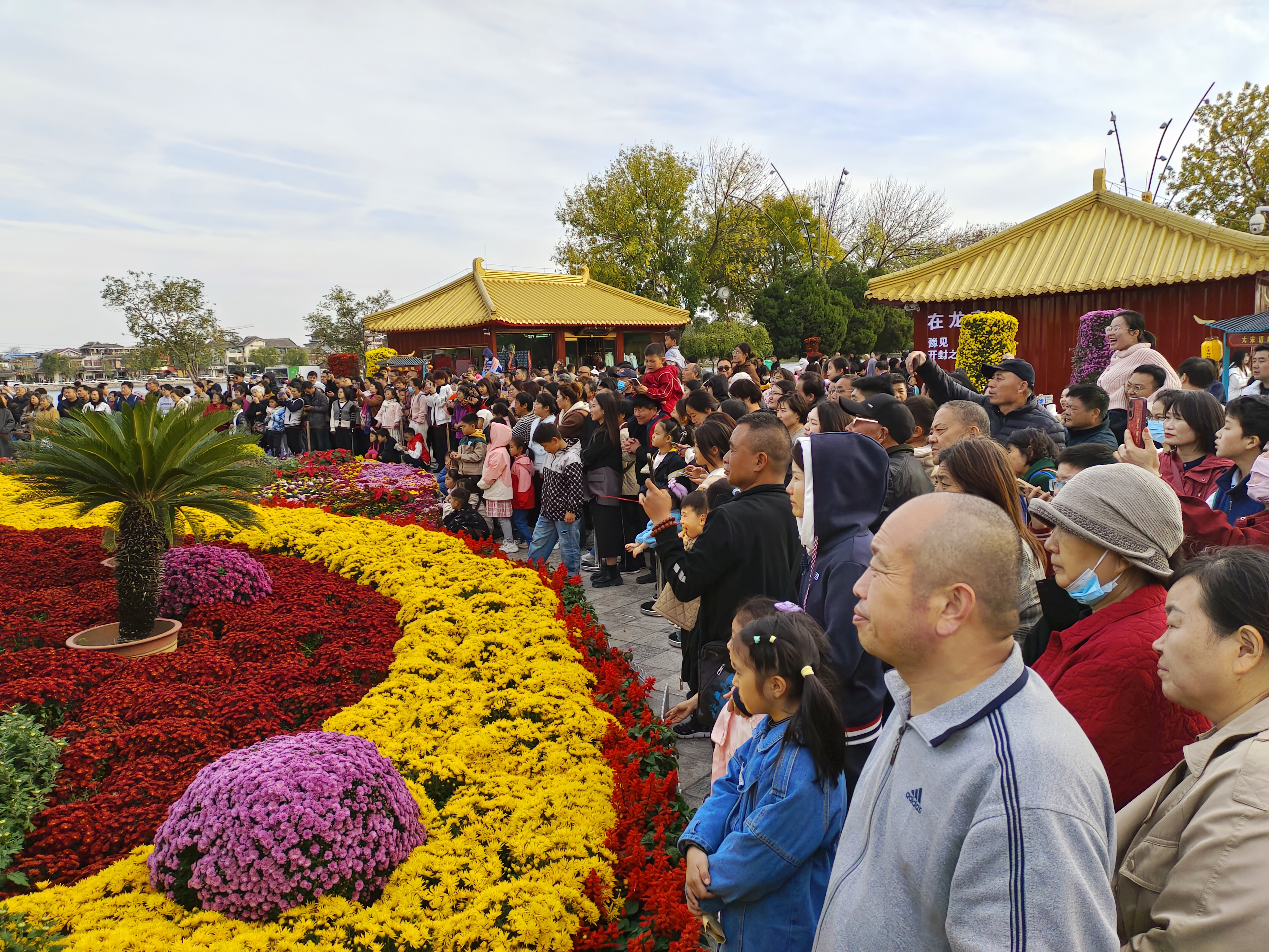 10月19日，众多游客在龙亭公园景区赏菊游玩，观看节目表演。全媒体记者 李浩 摄