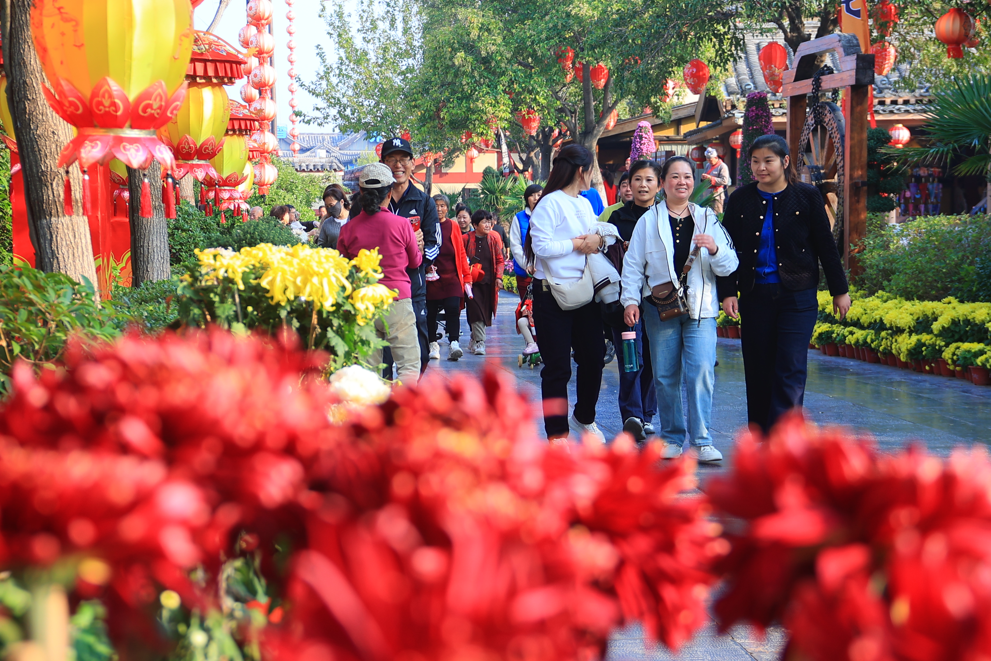 10月22日，我市气温回升，阳光明媚，众多游客来到我市各大景区赏菊游玩，打卡拍照。全媒体记者李浩摄。