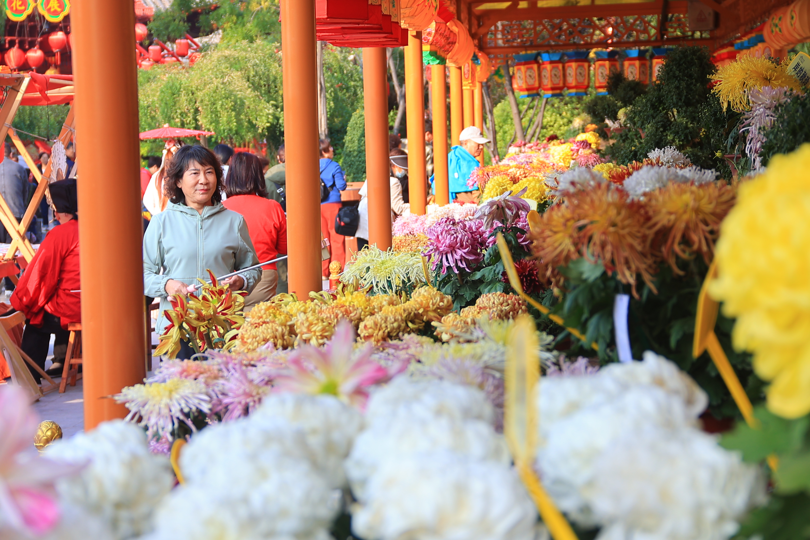 10月22日，我市气温回升，阳光明媚，众多游客来到我市各大景区赏菊游玩，打卡拍照。全媒体记者李浩摄。