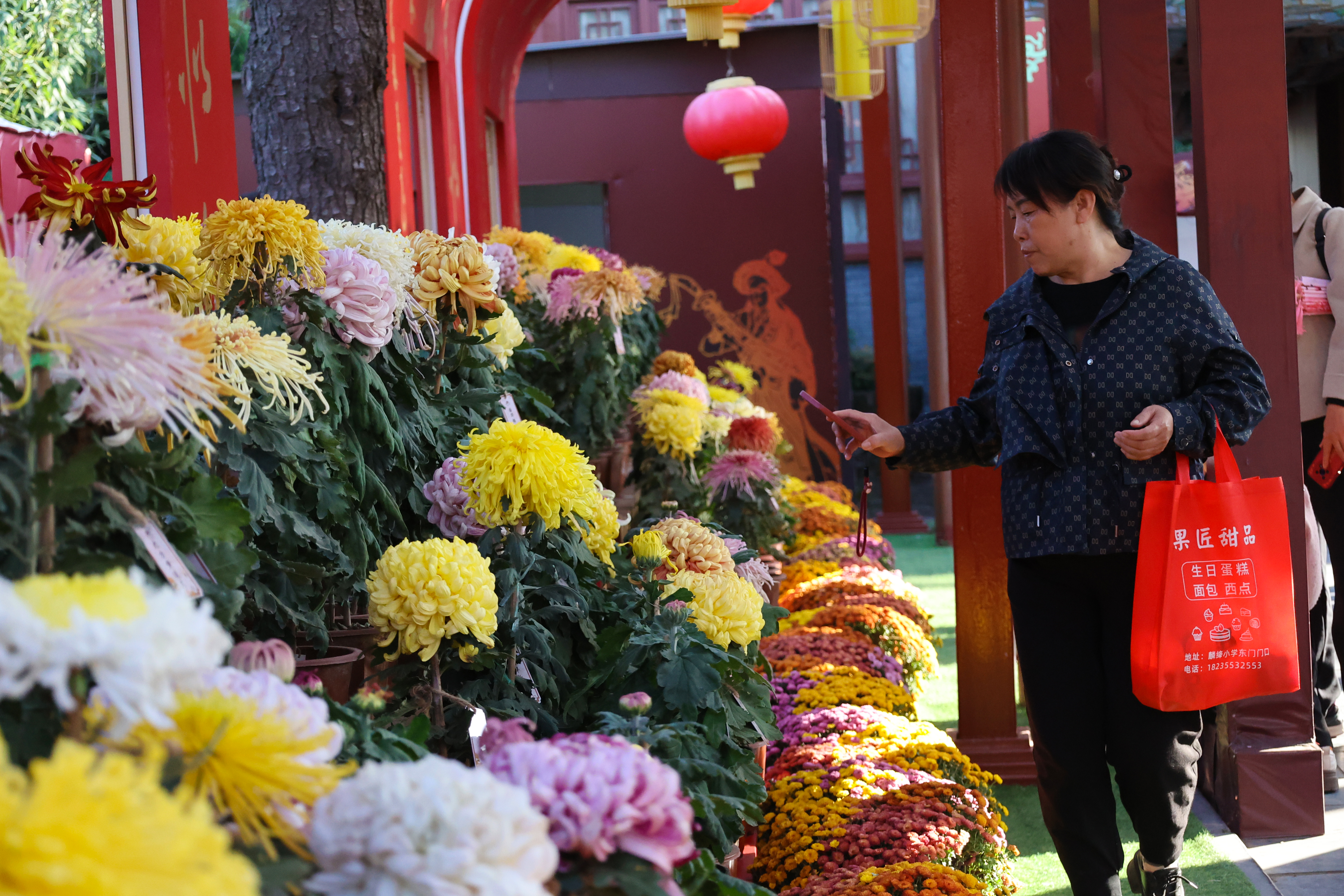 周末的古城开封，大量游客从四面八方纷至沓来，享受畅游“菊海”带来的乐趣。全媒体记者石斐 摄