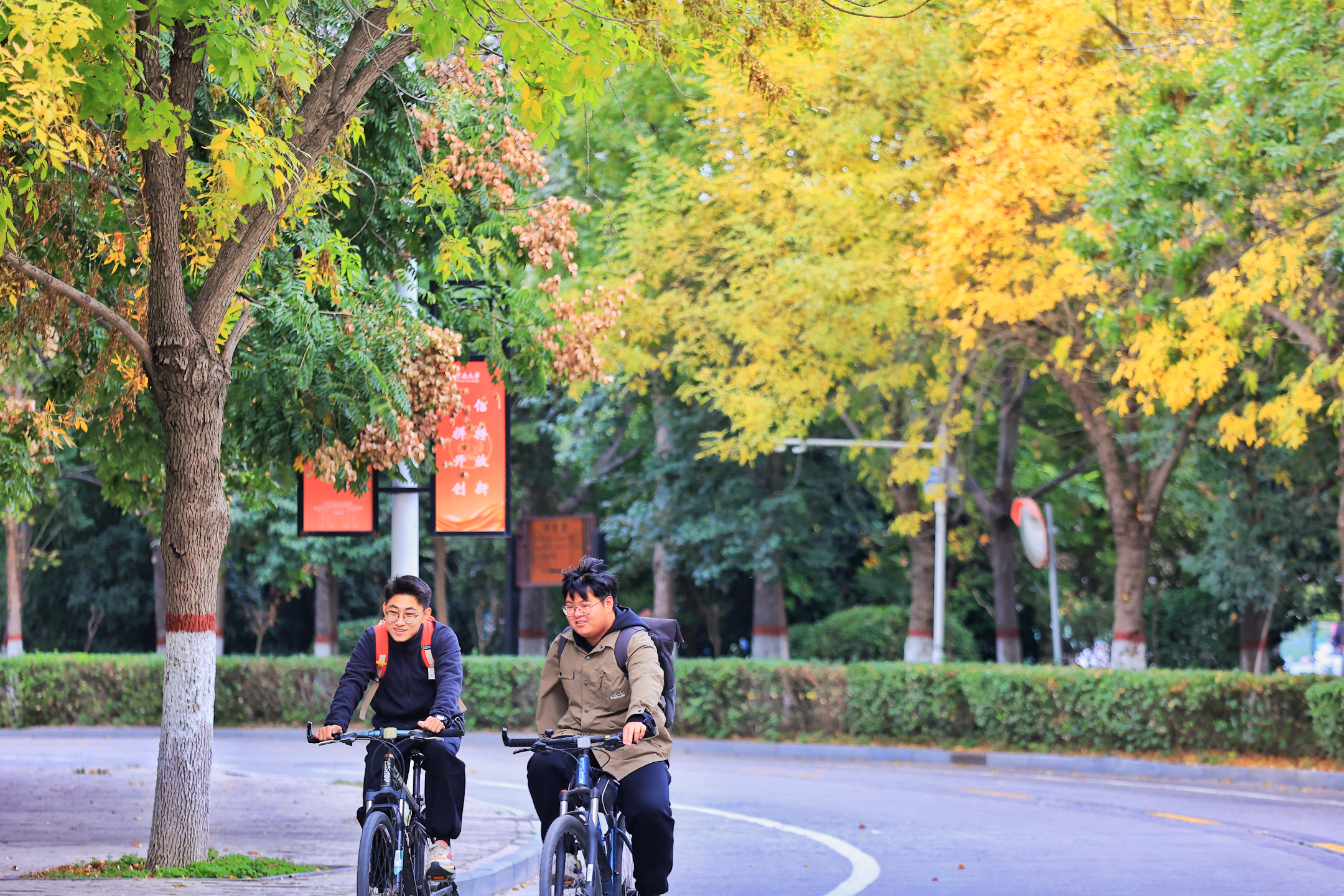 正值深秋，河南大学金明校区内秋景如画，学生们有的在篮球场上运动，呼吸着清新的空气，有的骑车穿行在林荫道上，感受着浓浓秋意。他们的身影成为校园中一道美丽的风景线。全媒体记者李浩11月4日摄