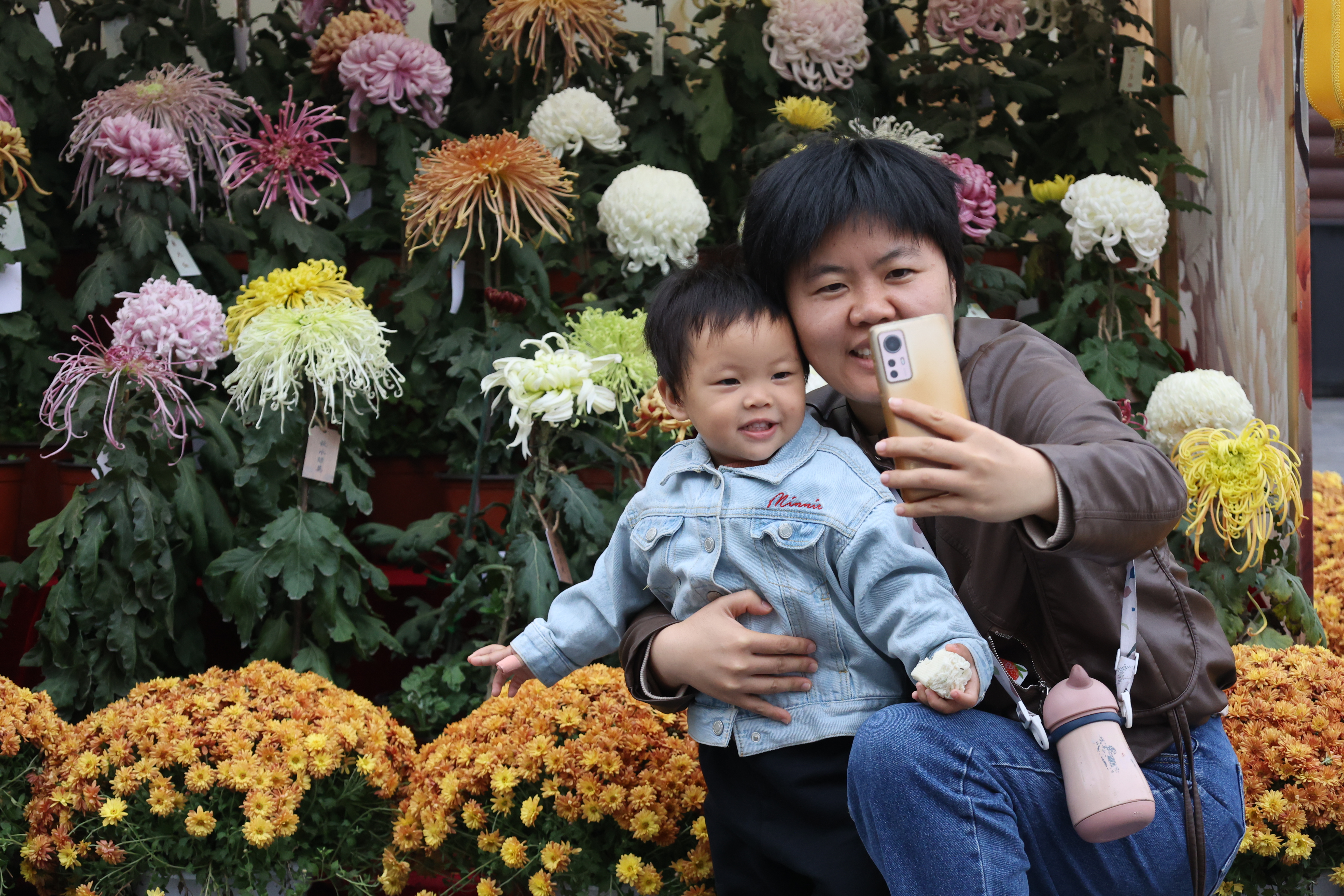 11月15日，初冬时节，古城金菊芬芳，不少游客前来打卡，置身花海，享受冬日的浪漫。全媒体记者 石斐摄