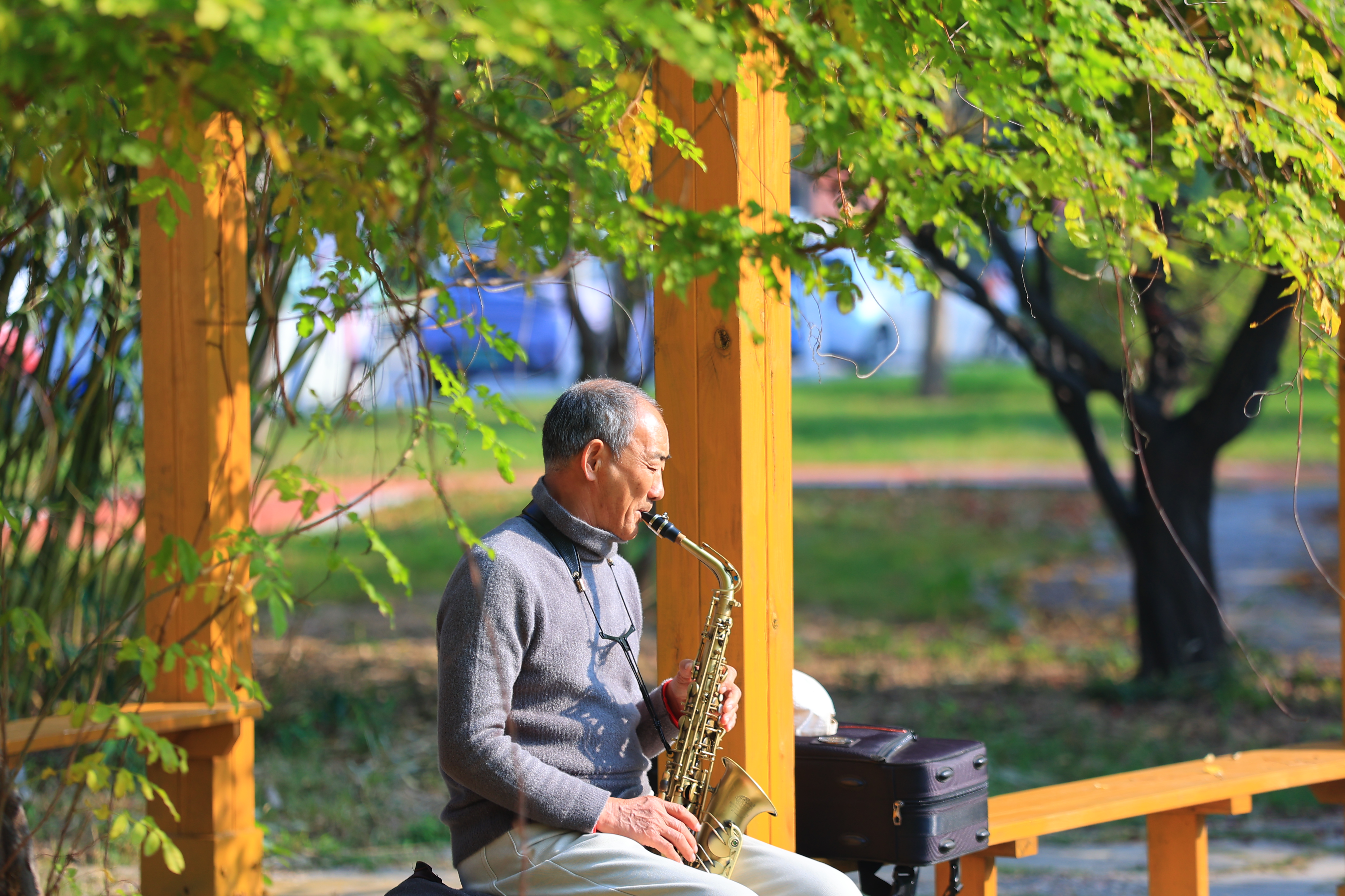 11月20日，我市天气晴朗，阳光明媚，市民走出家门，享受冬日阳光。全媒体记者 李浩 摄