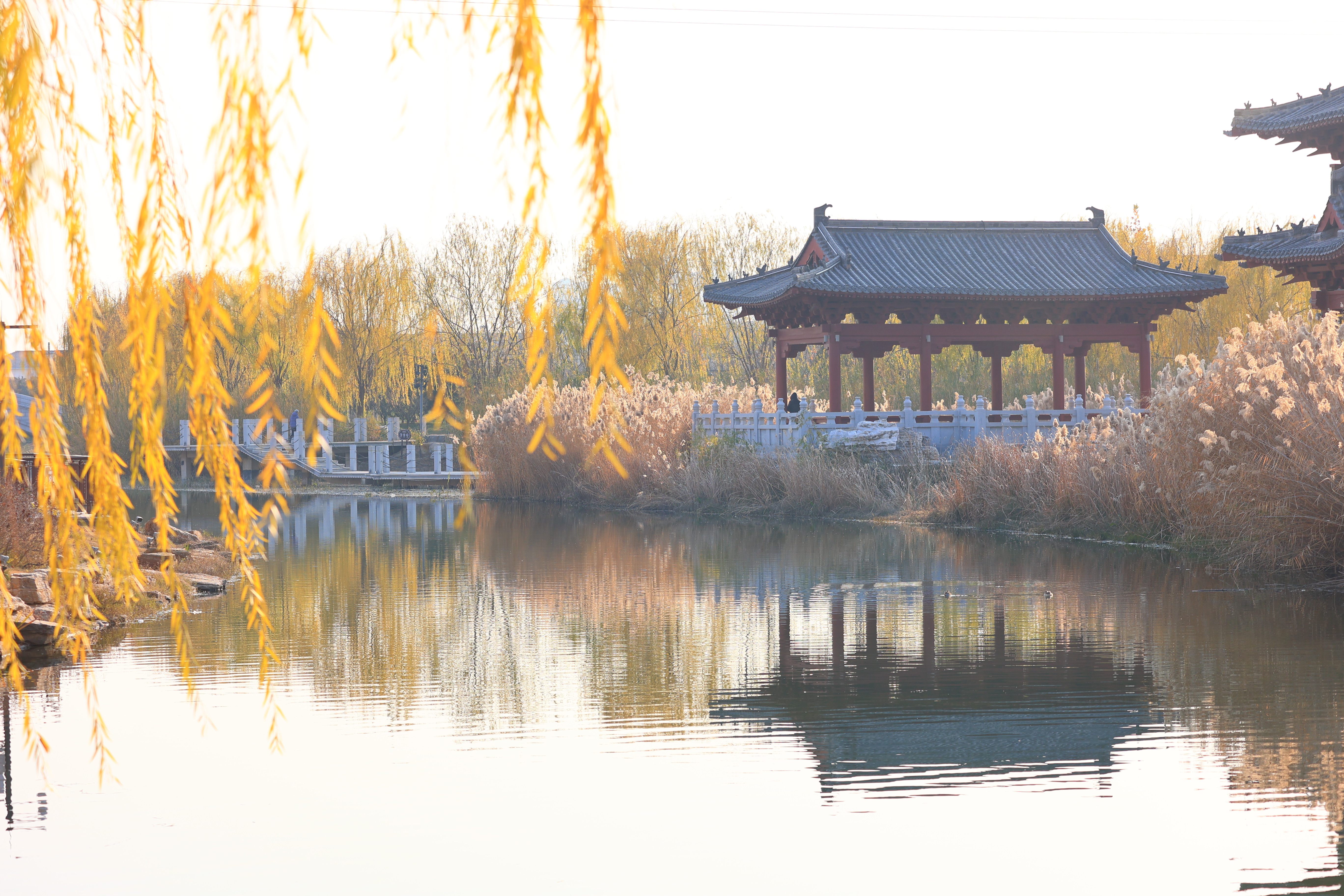 12月17日，天气晴朗，我市步步是画、处处皆景，尽显冬日韵味。全媒体记者 李浩 摄