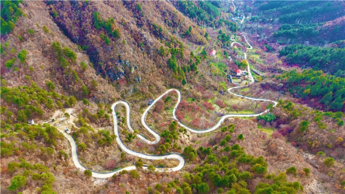 筑梦中国｜村落降网黑冯汉娜：架起一座从田间到餐桌的桥梁