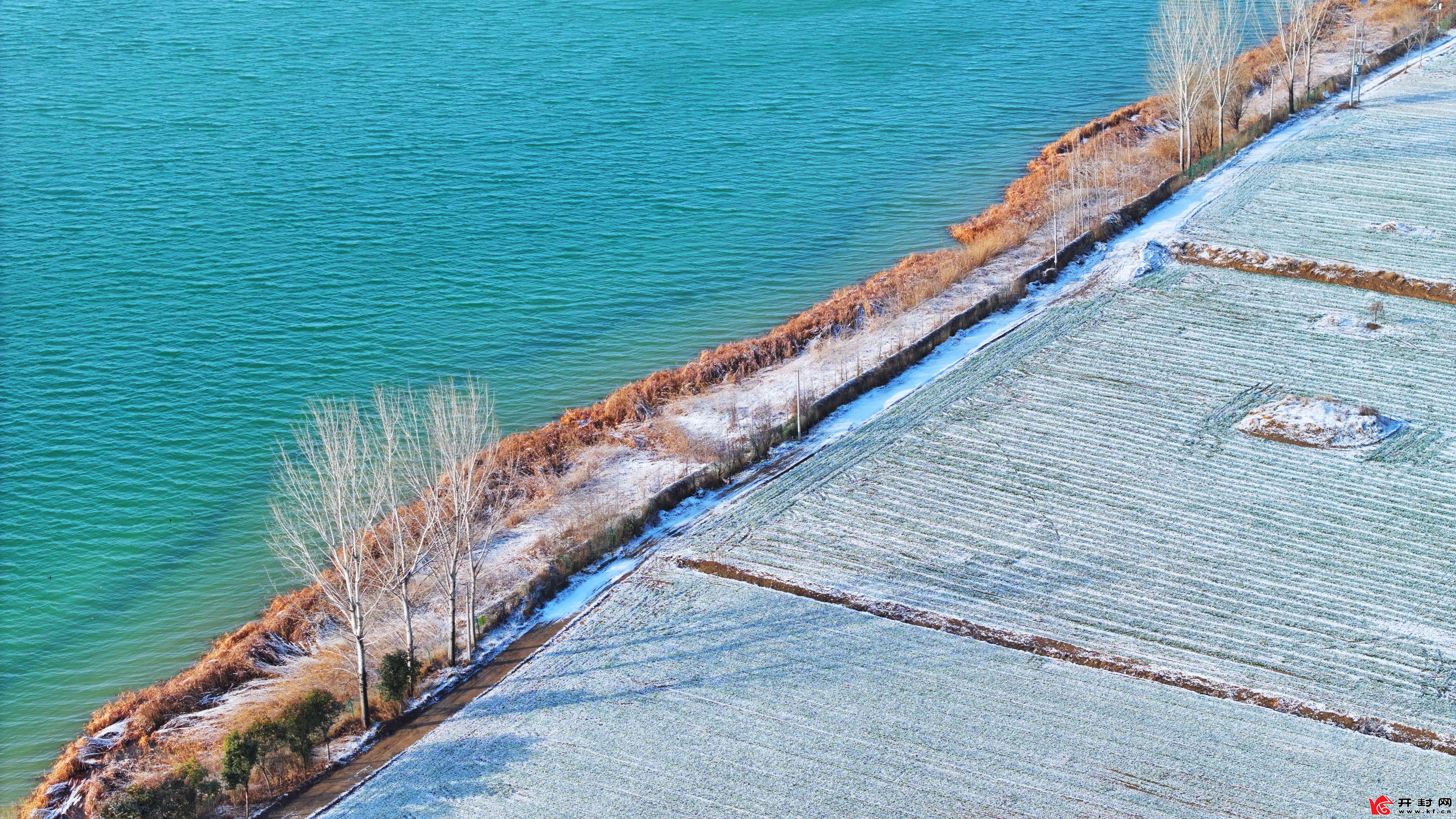 1月25日夜，开封终于下雪了！淅淅沥沥的小雨下了一整天，终于转化为期盼已久的小雪飘落。城北的黄河大堤被薄雪笼罩，放眼望去白茫茫一片，仿佛蒙上了一层细而薄透的白纱，只有黑池的水清丽如故。（通讯员 贾金鹏）