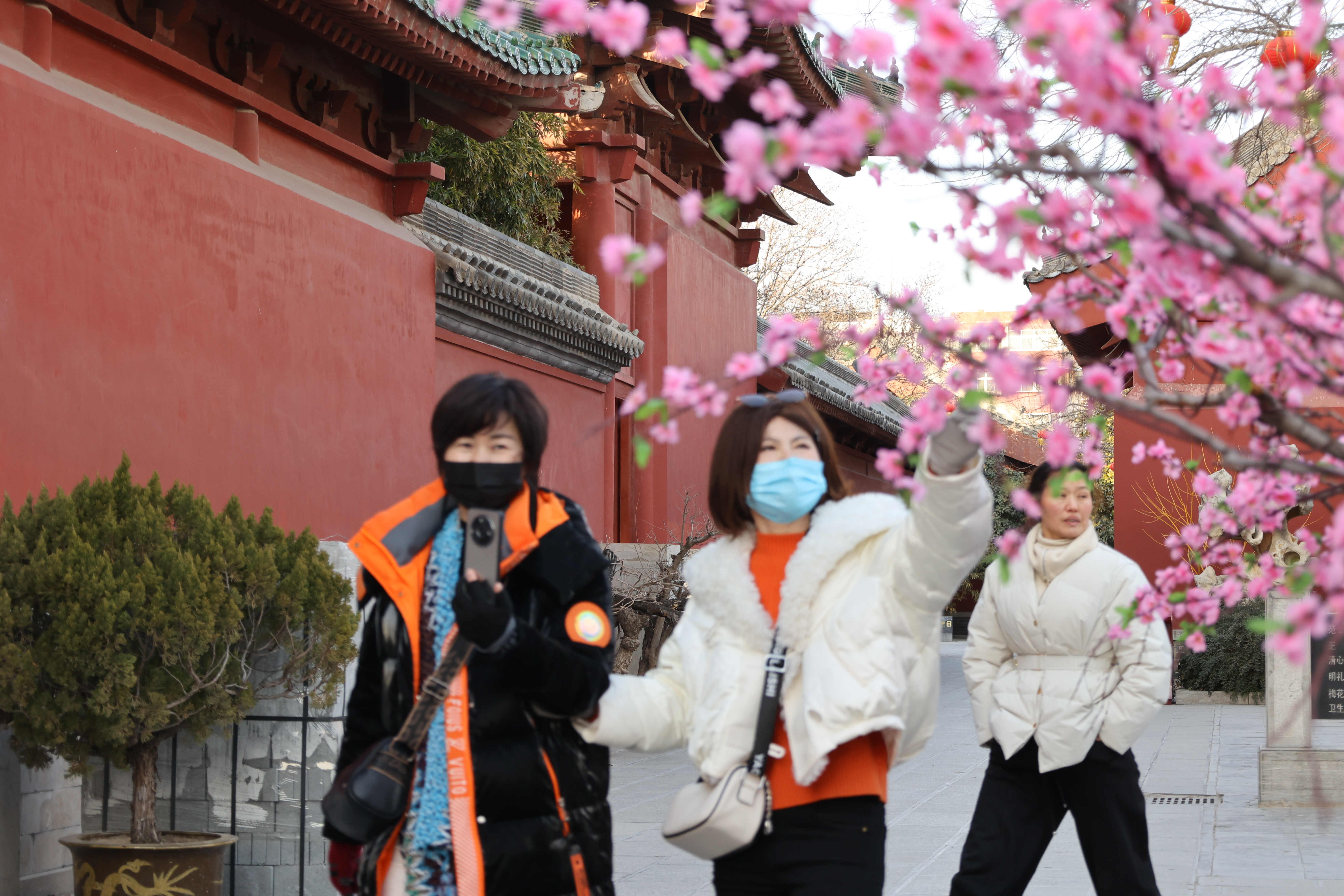 2月7日，在我市各景区，游客错峰出游，观景、赏宋风，感受文化魅力。