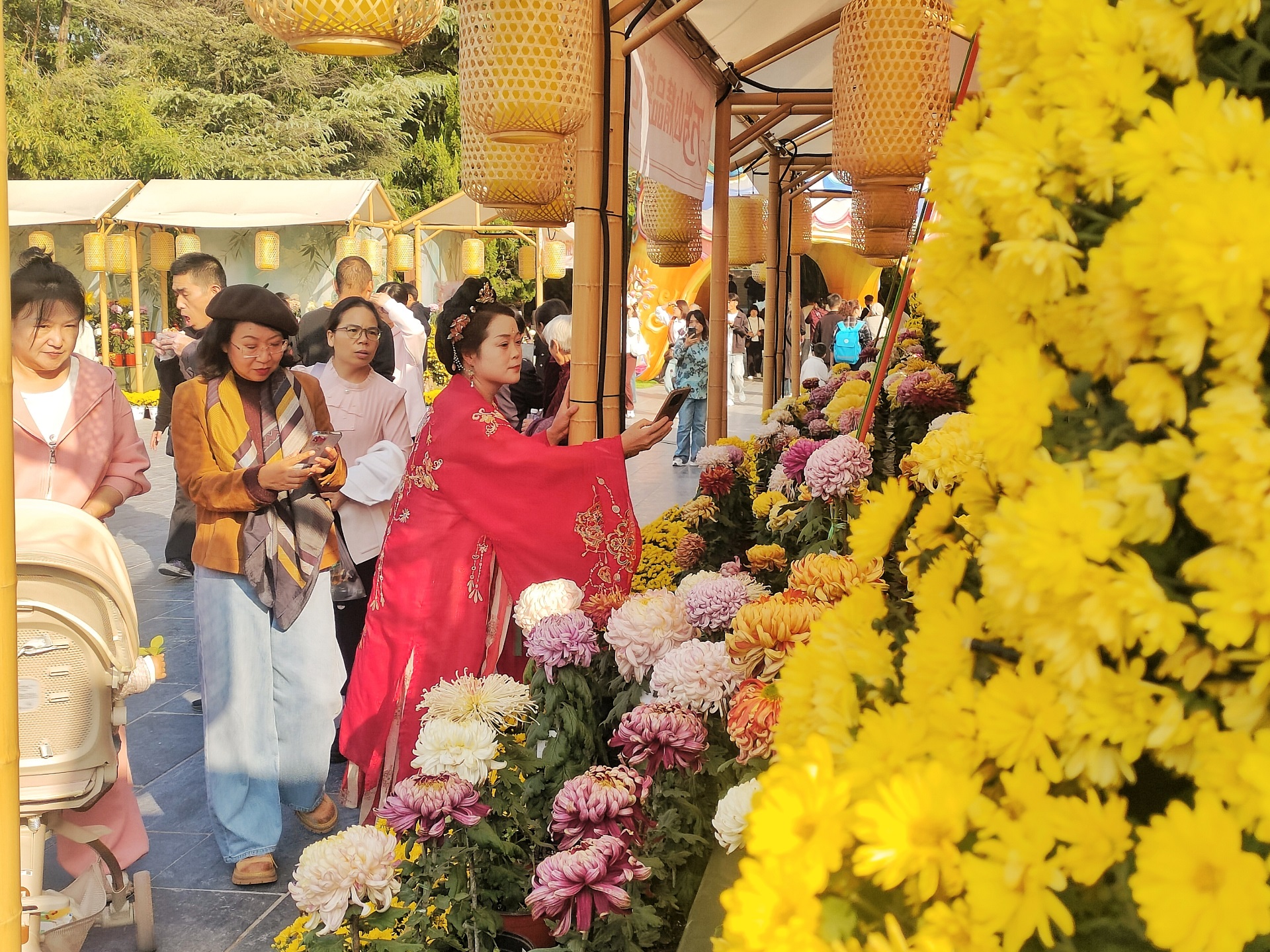 10月14日，天气晴朗，气温回升，菊花竞相开放，景区里各种品类的菊花吸引了众多游客游玩赏菊。全媒体记者 李浩 摄