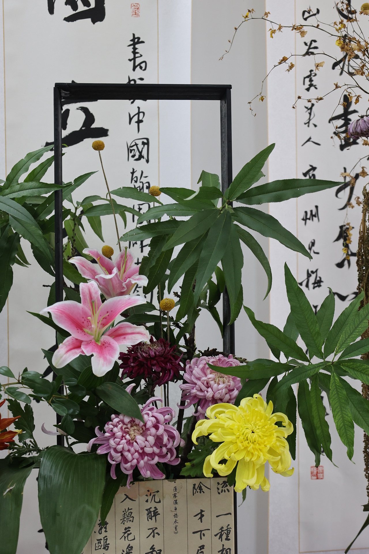 10月16日，古城菊花争相盛开，芬芳四溢，令人陶醉，不少游客来到古城领略秋日里的花事盛宴。全媒体记者 石斐 摄