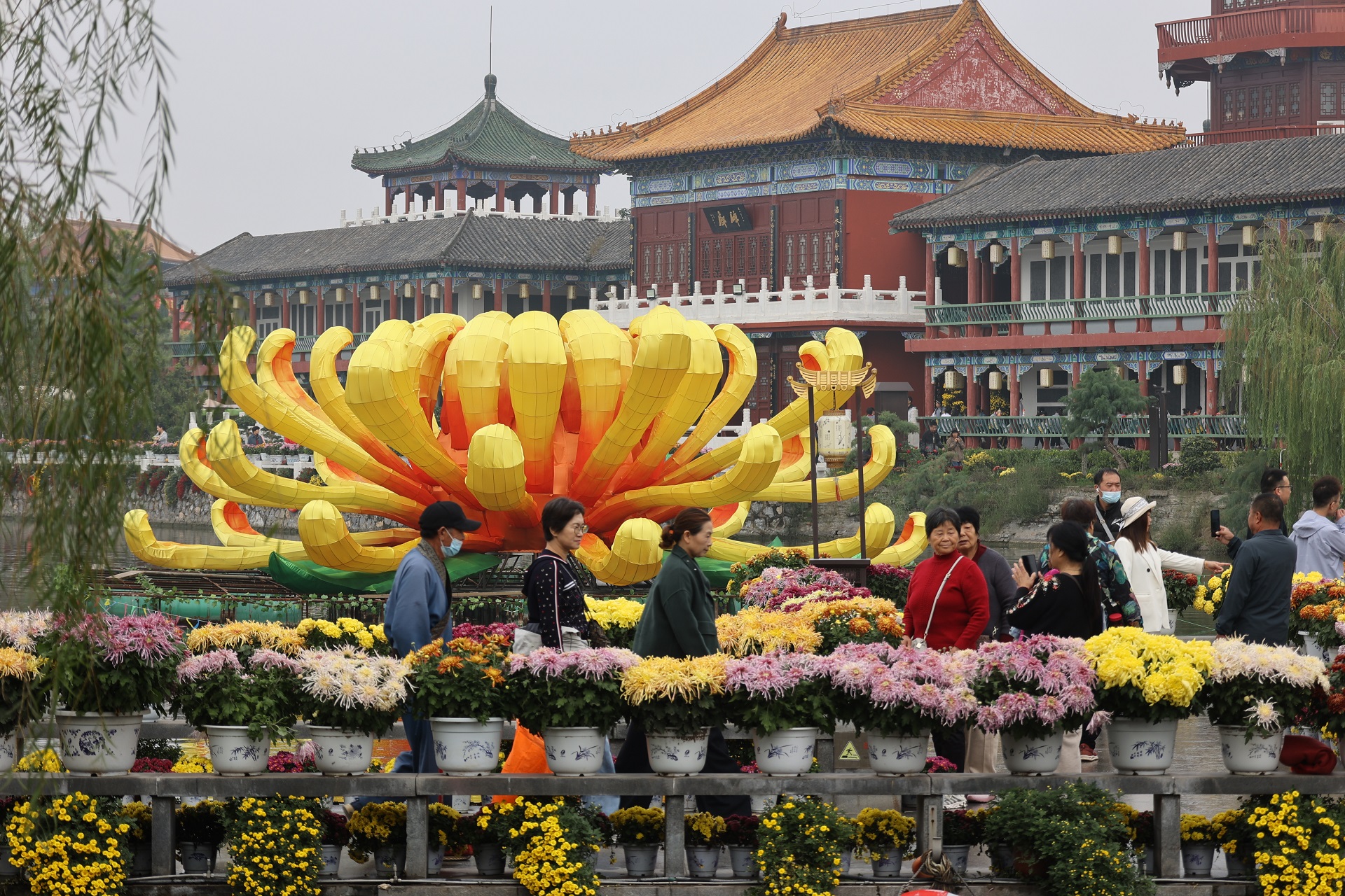 10月16日，古城菊花争相盛开，芬芳四溢，令人陶醉，不少游客来到古城领略秋日里的花事盛宴。全媒体记者 石斐 摄