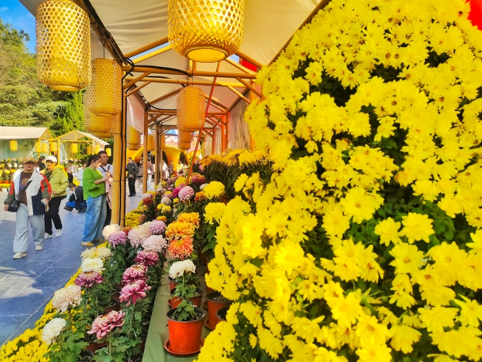10月14日，天气晴朗，气温回升，菊花竞相开放，景区里各种品类的菊花吸引了众多游客游玩赏菊。全媒体记者 李浩 摄