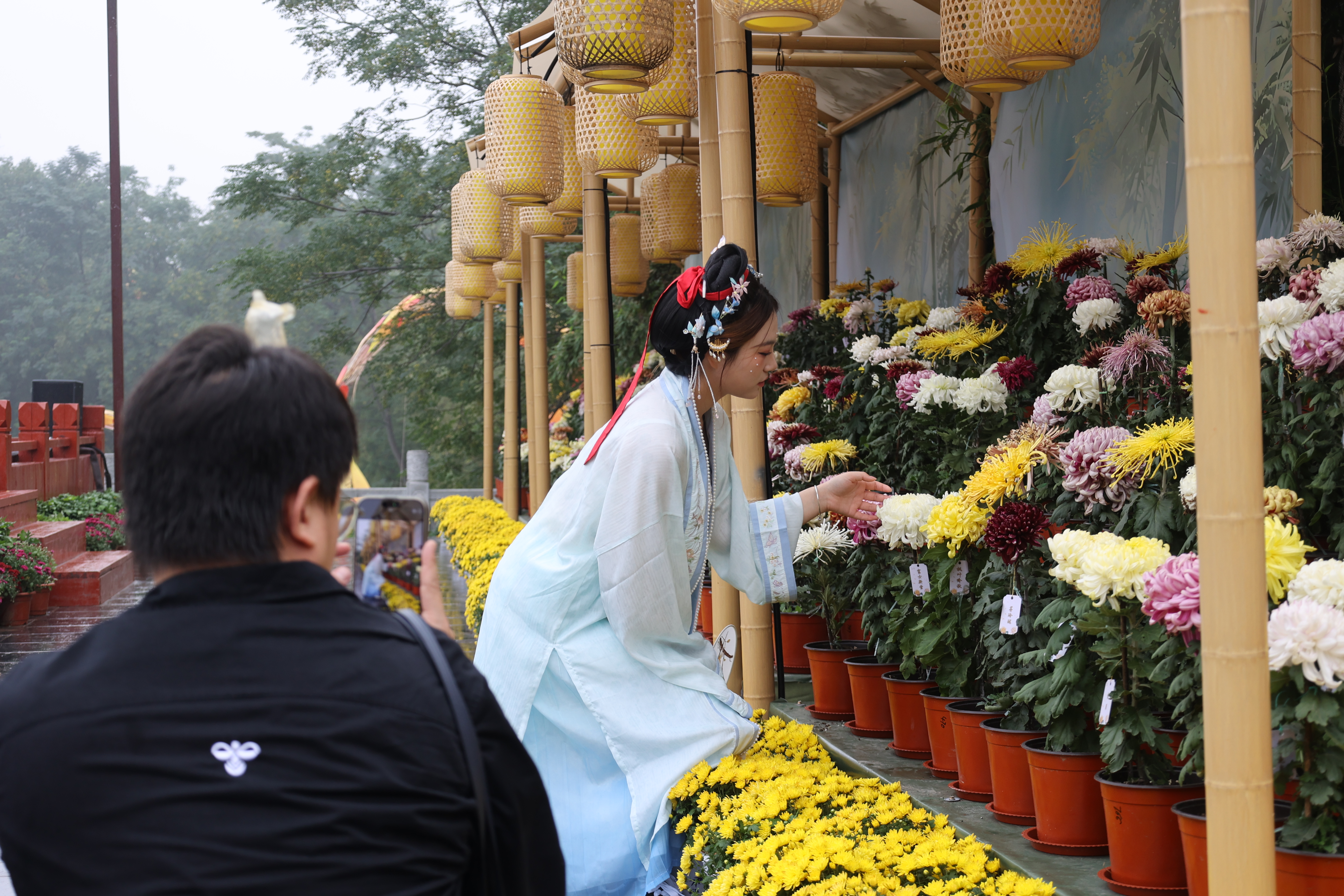 秋高气爽，花开正好，不少游客前来开封游玩赏菊，沉浸式体验绚丽多彩的秋日花事。全媒体记者 石斐 摄