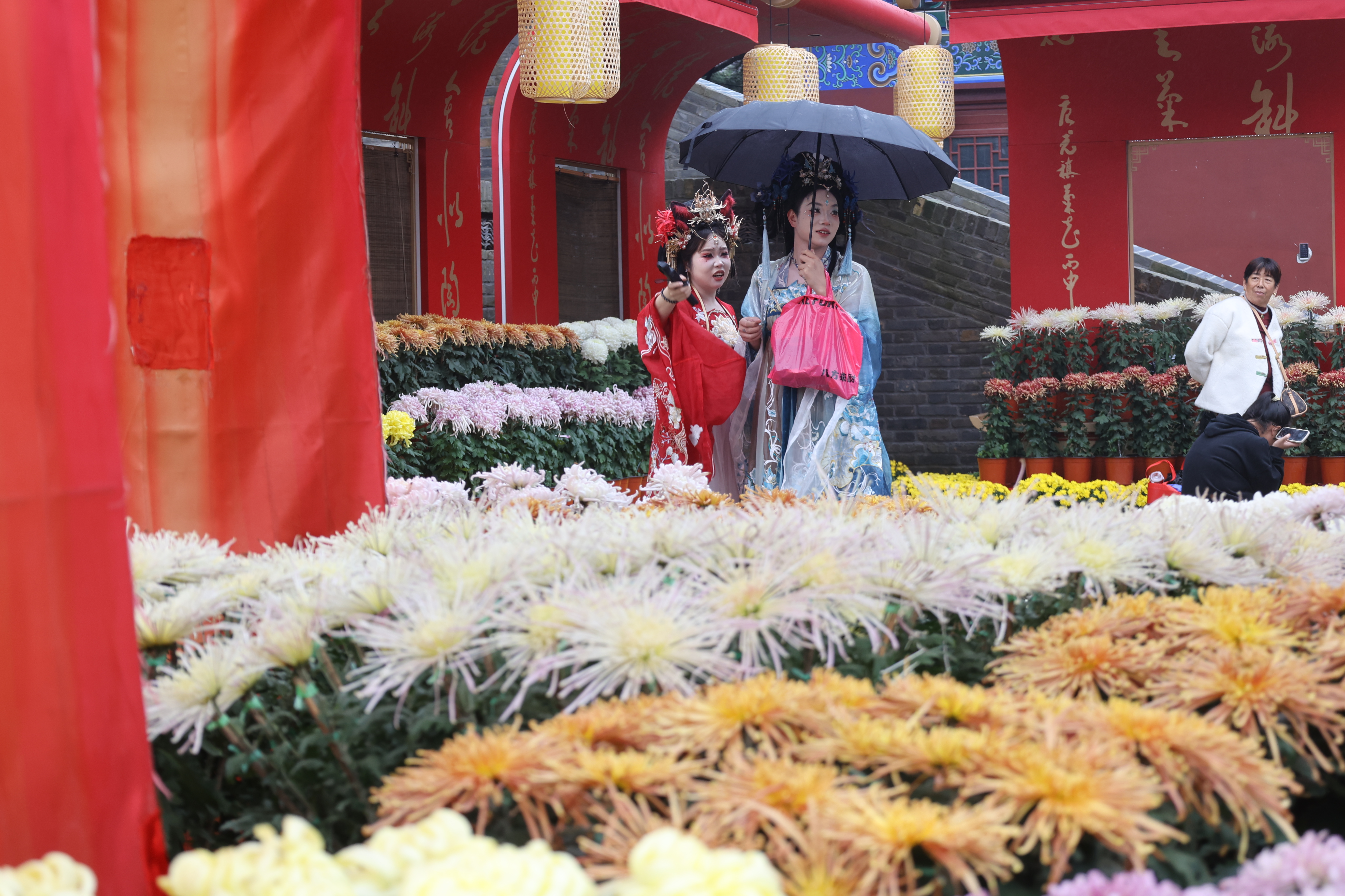 秋高气爽，花开正好，不少游客前来开封游玩赏菊，沉浸式体验绚丽多彩的秋日花事。全媒体记者 石斐 摄