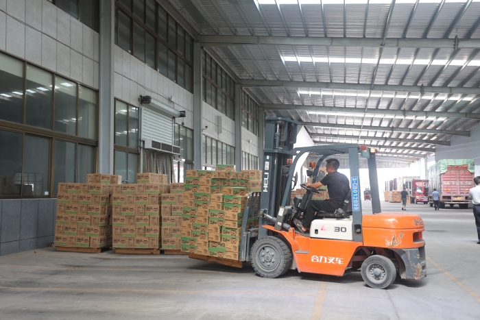 开封新型工业化发展融媒体报道(通许篇)(10532461)-20240803064718